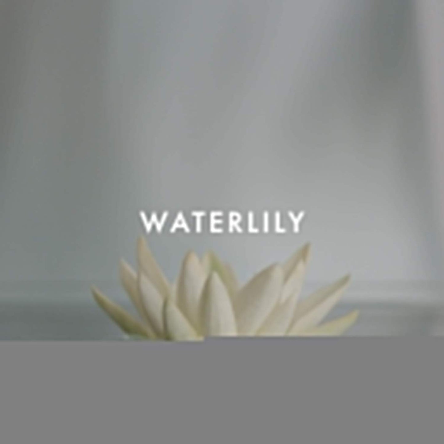 Shi by Alfred Sung for Women - 3.4 oz EDP Spray