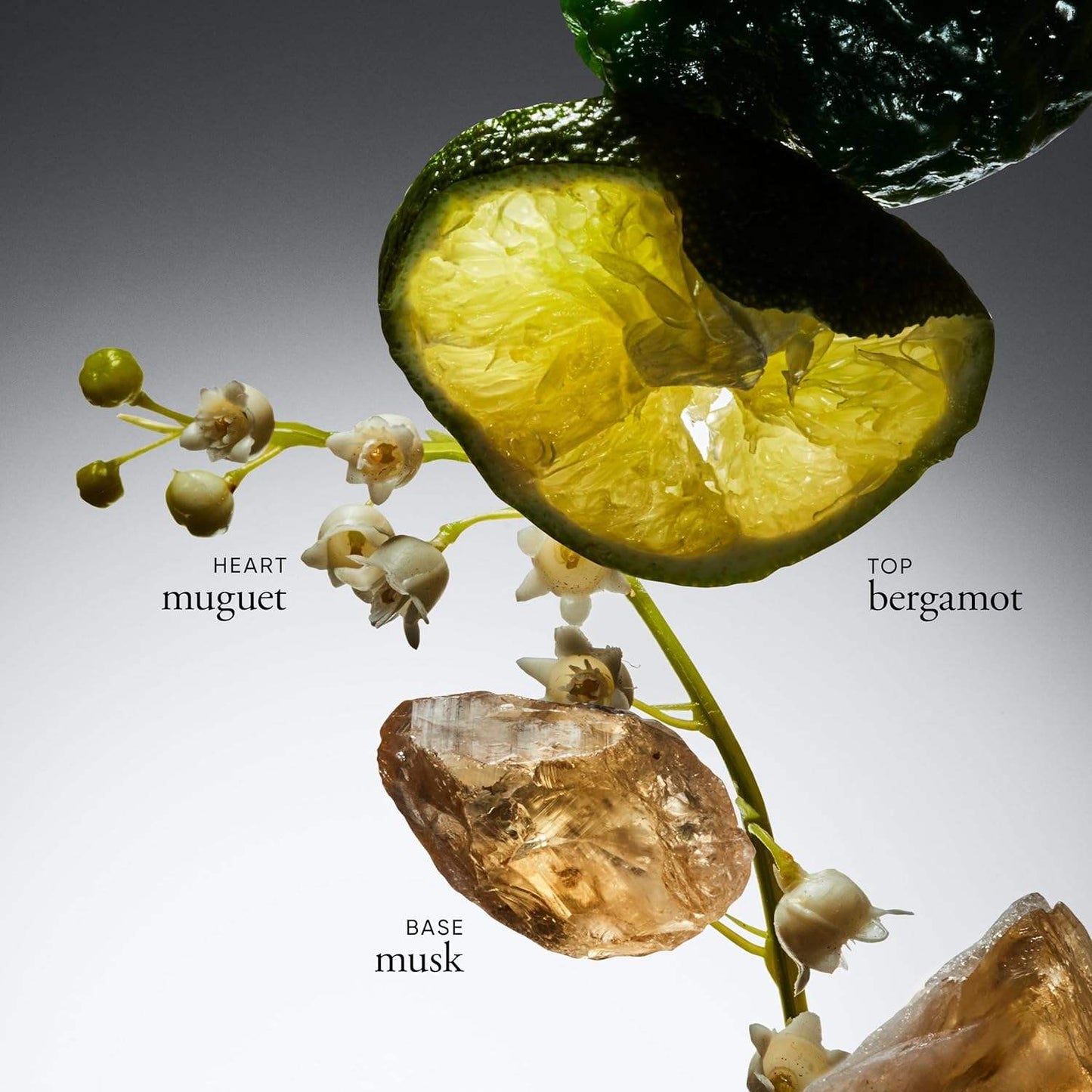 Amazing Grace by Philosophy for Women - 2 oz EDP Spray