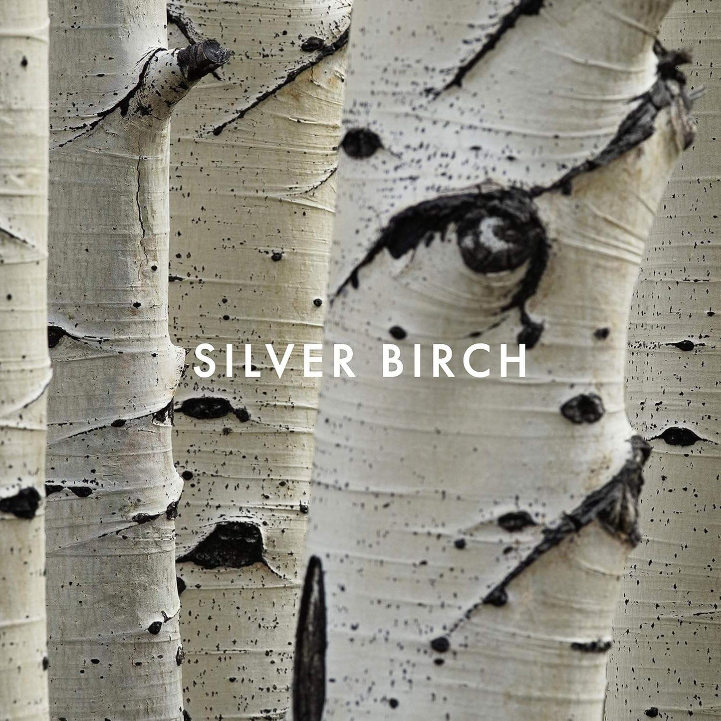 Shi by Alfred Sung for Women - 3.4 oz EDP Spray (Unboxed)