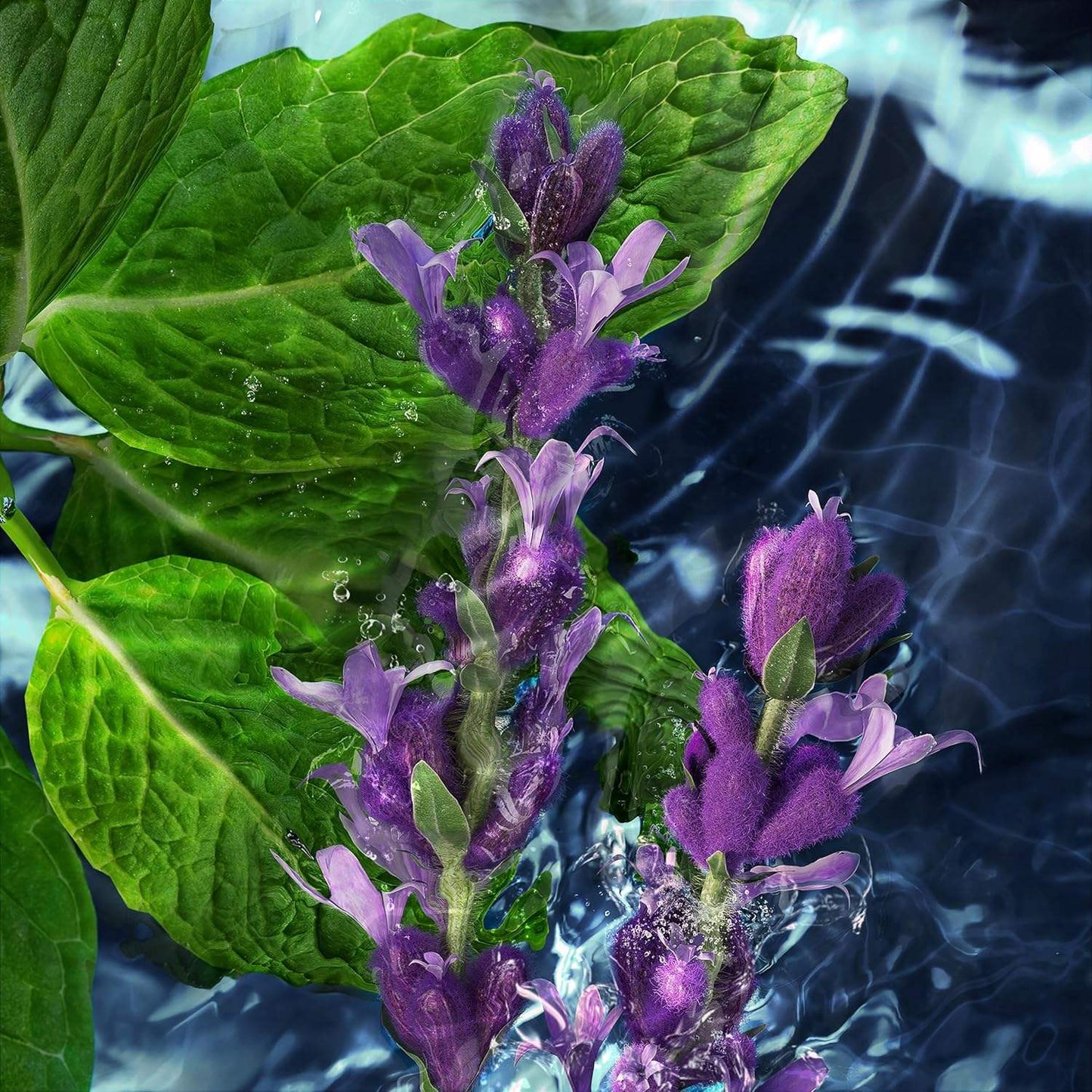 Cool Water by Davidoff for Men - 2.4 oz Deodorant Stick