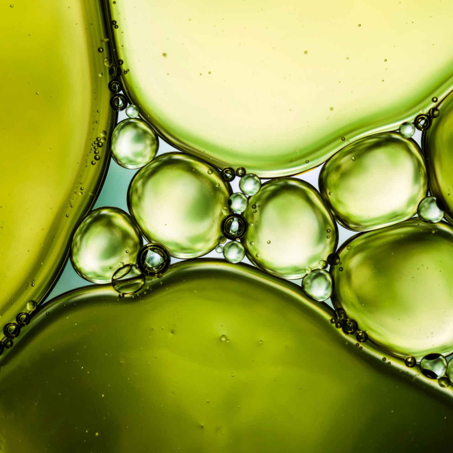 Avocado Organic, Cold Pressed Face Oil