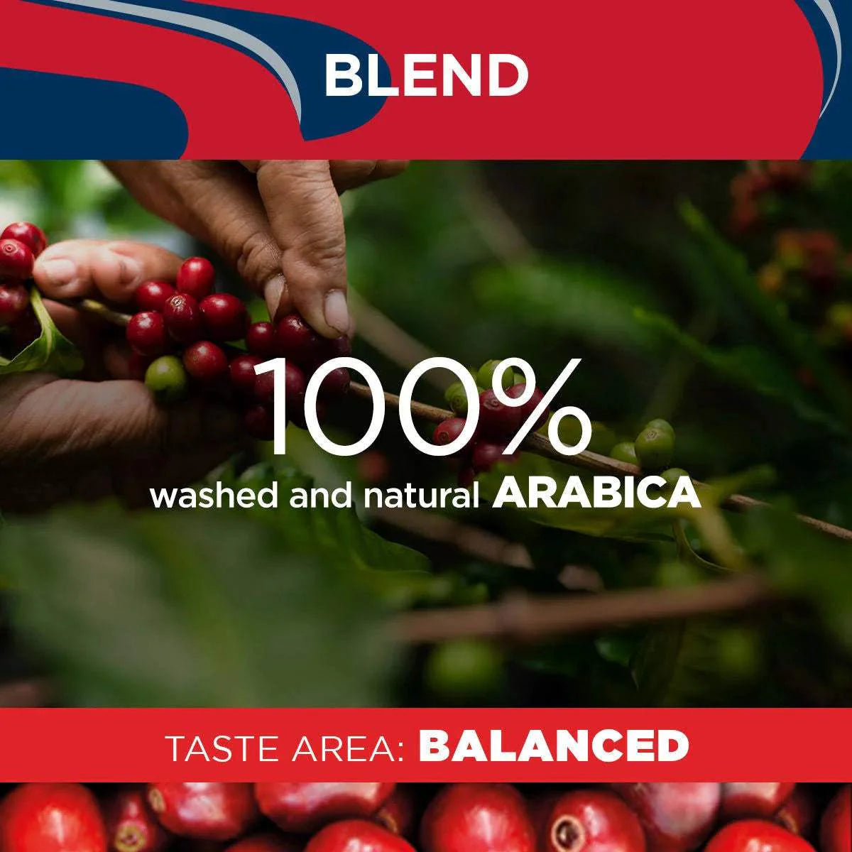 Gran Riserva Filtro Dark Roast Coffee Bean by Lavazza for - 35.2 oz Coffee