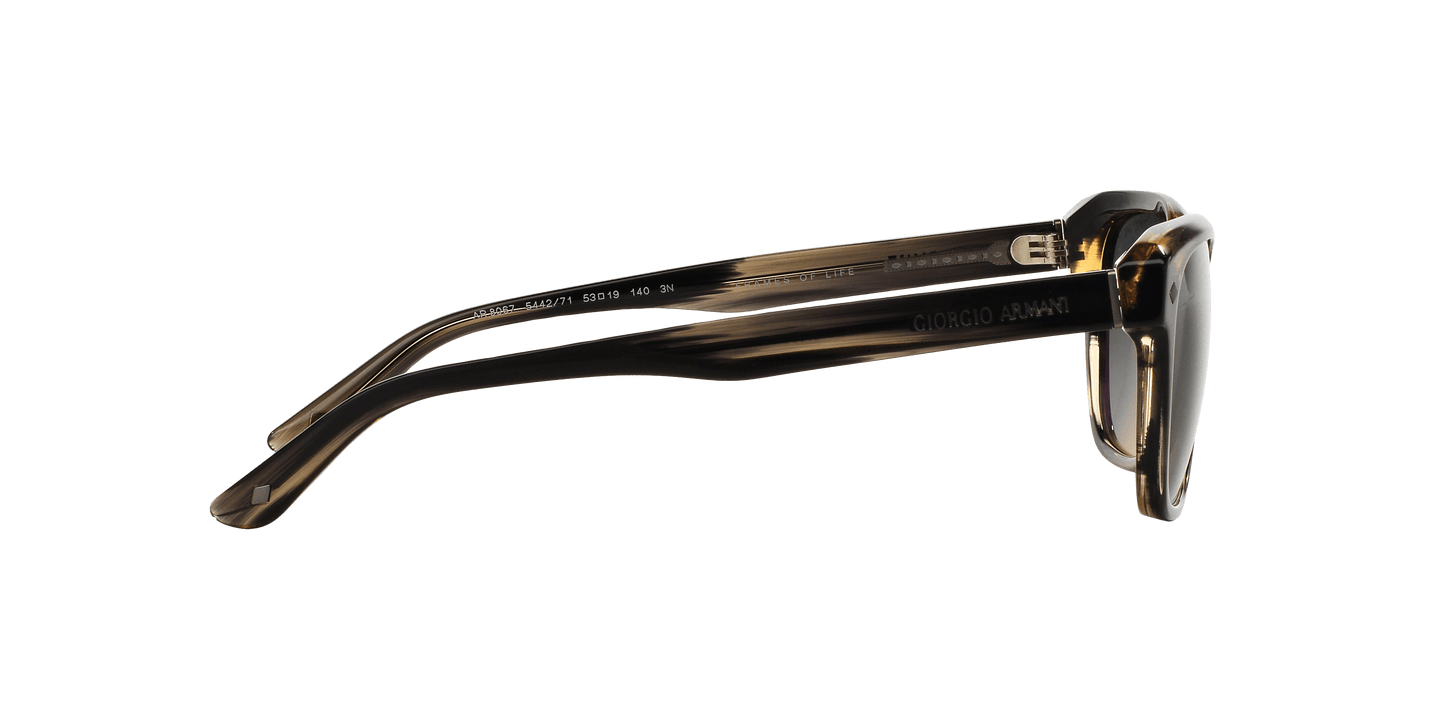 Giorgio Armani AR 8067 5442-71 Frames of Life - Striped Grey-Grey Gradient by Giorgio Armani for Men - 53-19-140 mm Sunglasses