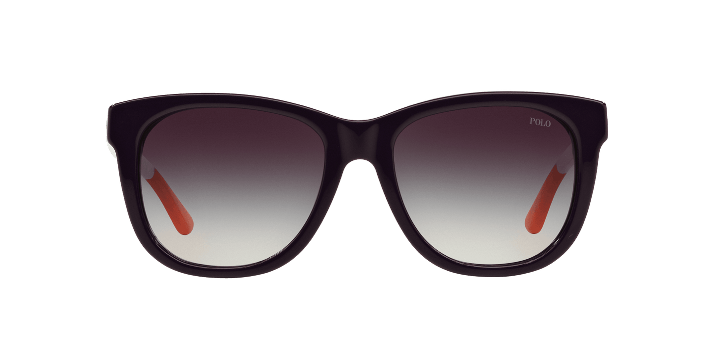 Polo Ralph Lauren PH 4105 5575-8G - Purple-Grey Shaded by Ralph Lauren for Women - 54-18-140 mm Sunglasses