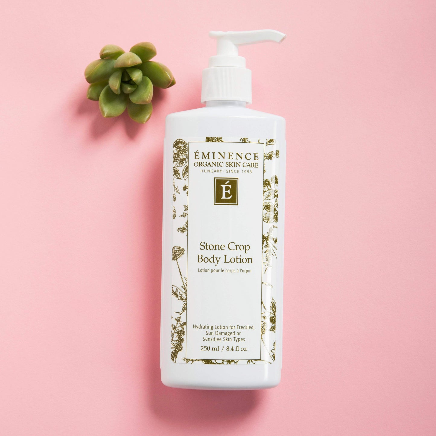 Stone Crop Body Lotion by Eminence for Unisex - 8.4 oz Body Lotion