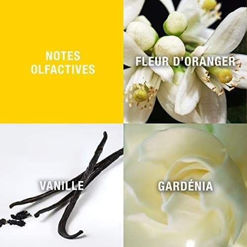 Giorgio by Giorgio Beverly Hills for Women - 3 oz EDT Spray