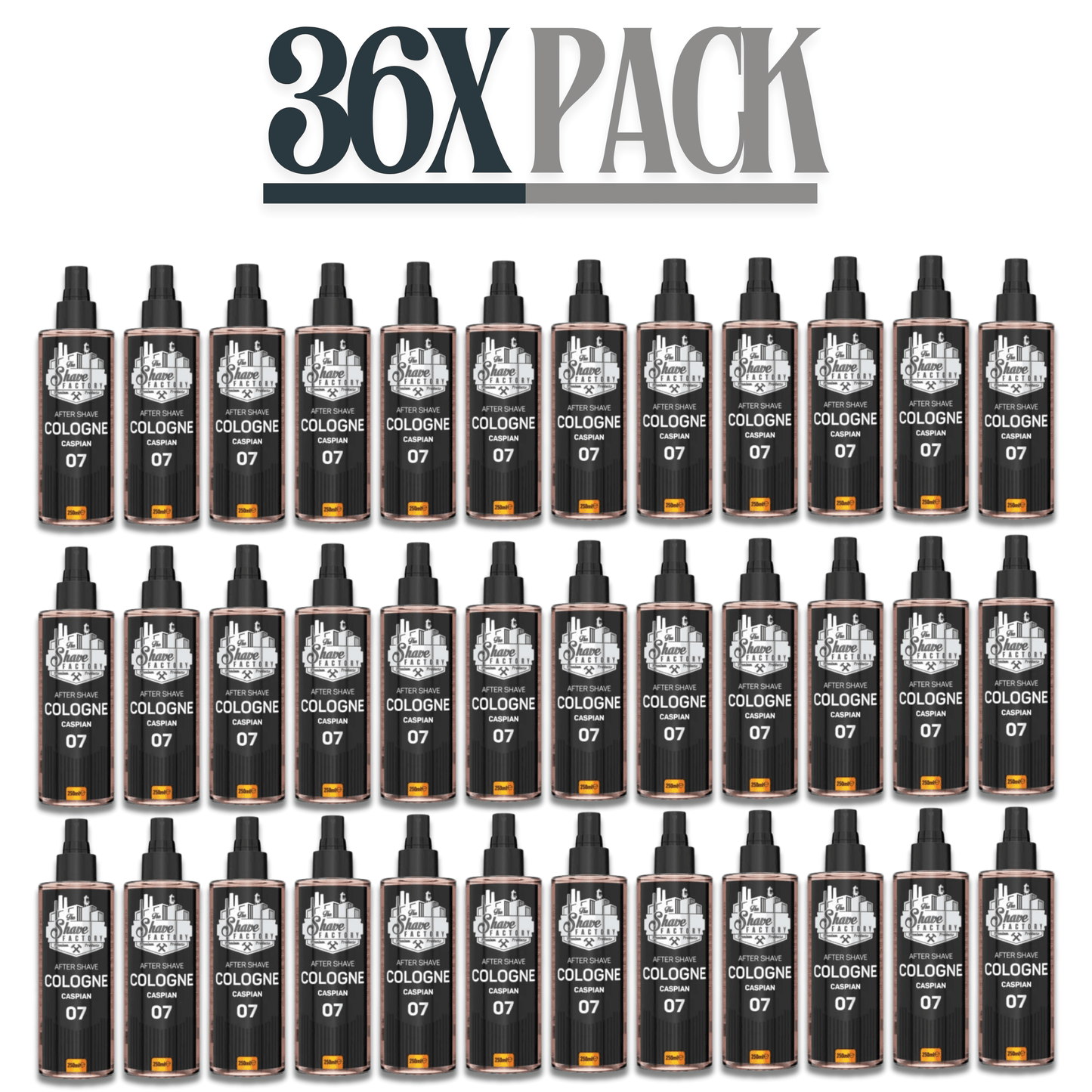 The Shave Factory After Shave Cologne 07 Caspian 8.45 oz Multipack