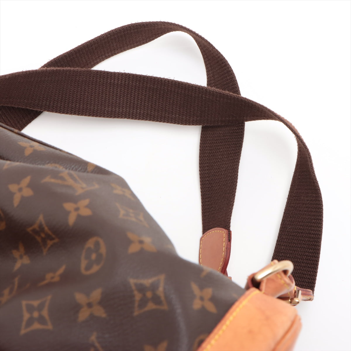 Louis Vuitton Monogram Montsouris GM