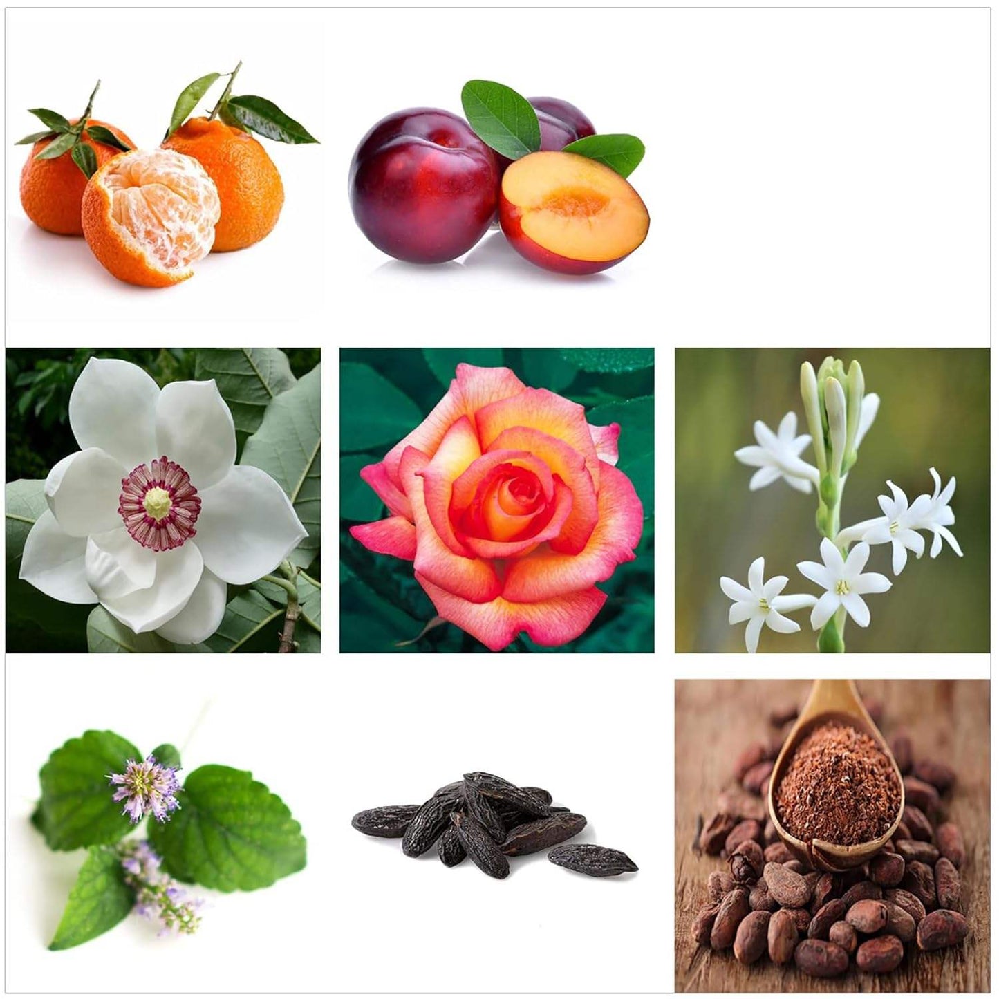 Warrior by Rachel Zoe for Women - 0.34 oz EDP Spray (Mini)