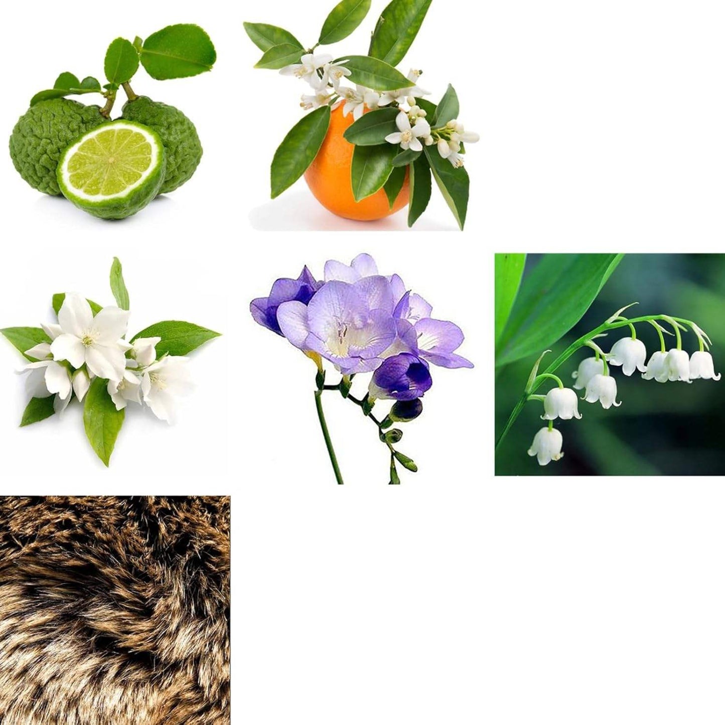 Instinct by Rachel Zoe for Women - 0.34 oz EDP Spray (Mini)