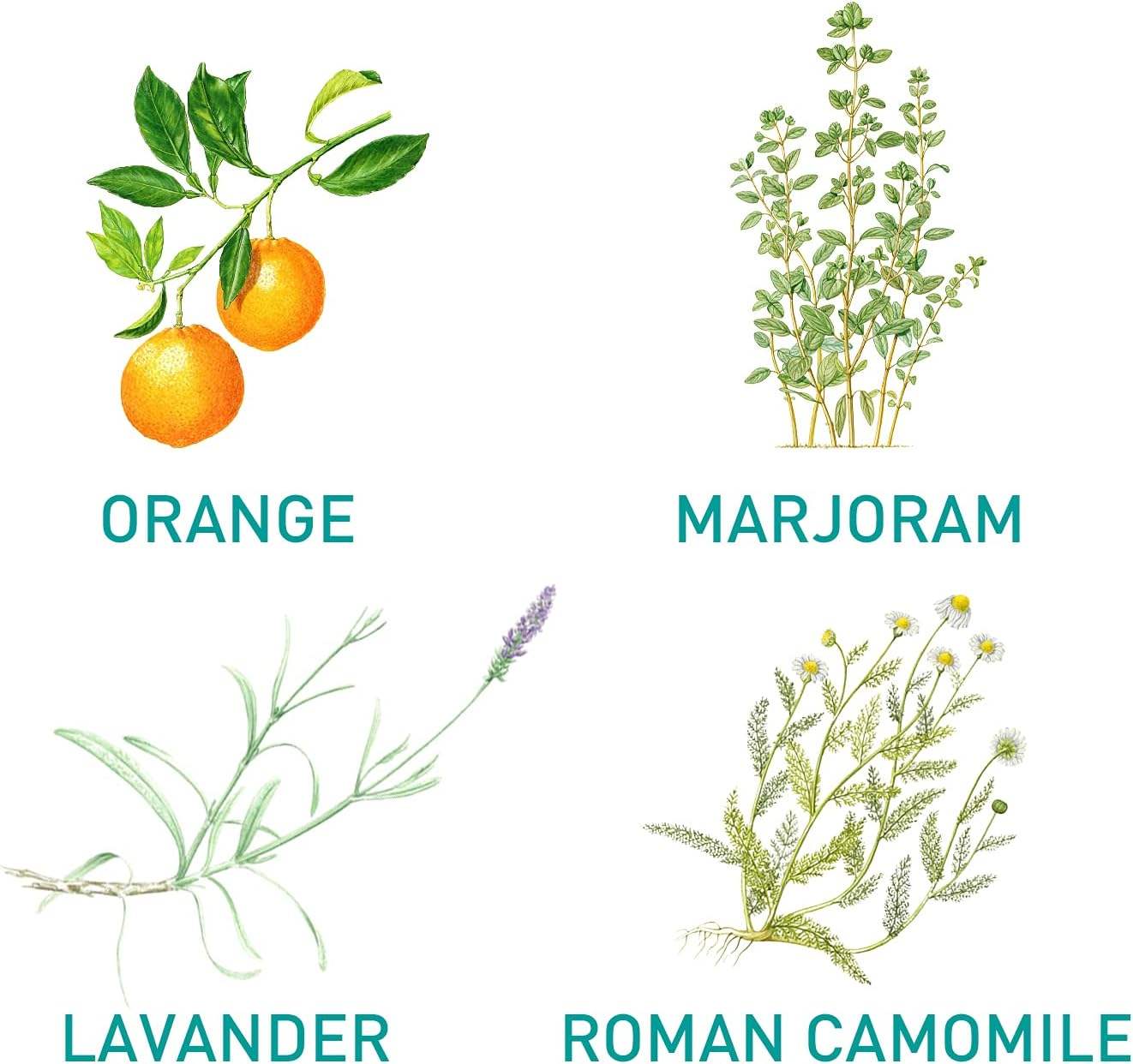 Diffusion Essential Oil - ZEN Relax Blend by Puressentiel for Unisex - 1.01 oz Oil