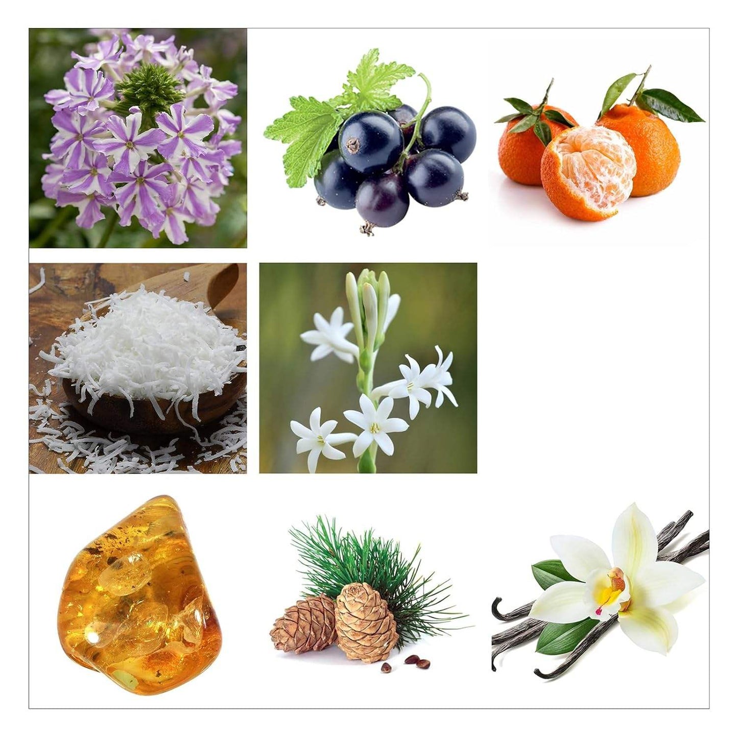 Fearless Scented Candle by Rachel Zoe for Women - 6.3 oz Candle