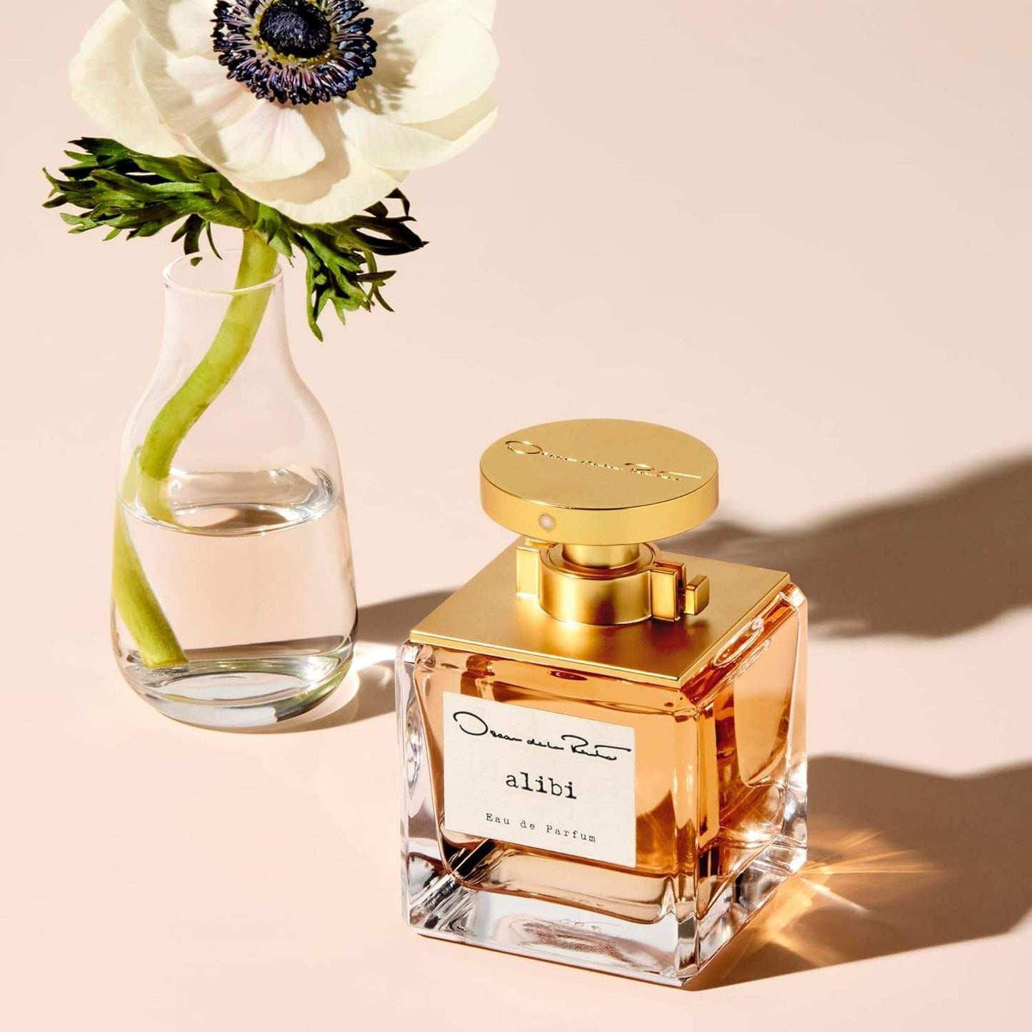 Alibi by Oscar De La Renta for Women - 3.4 oz EDP Spray