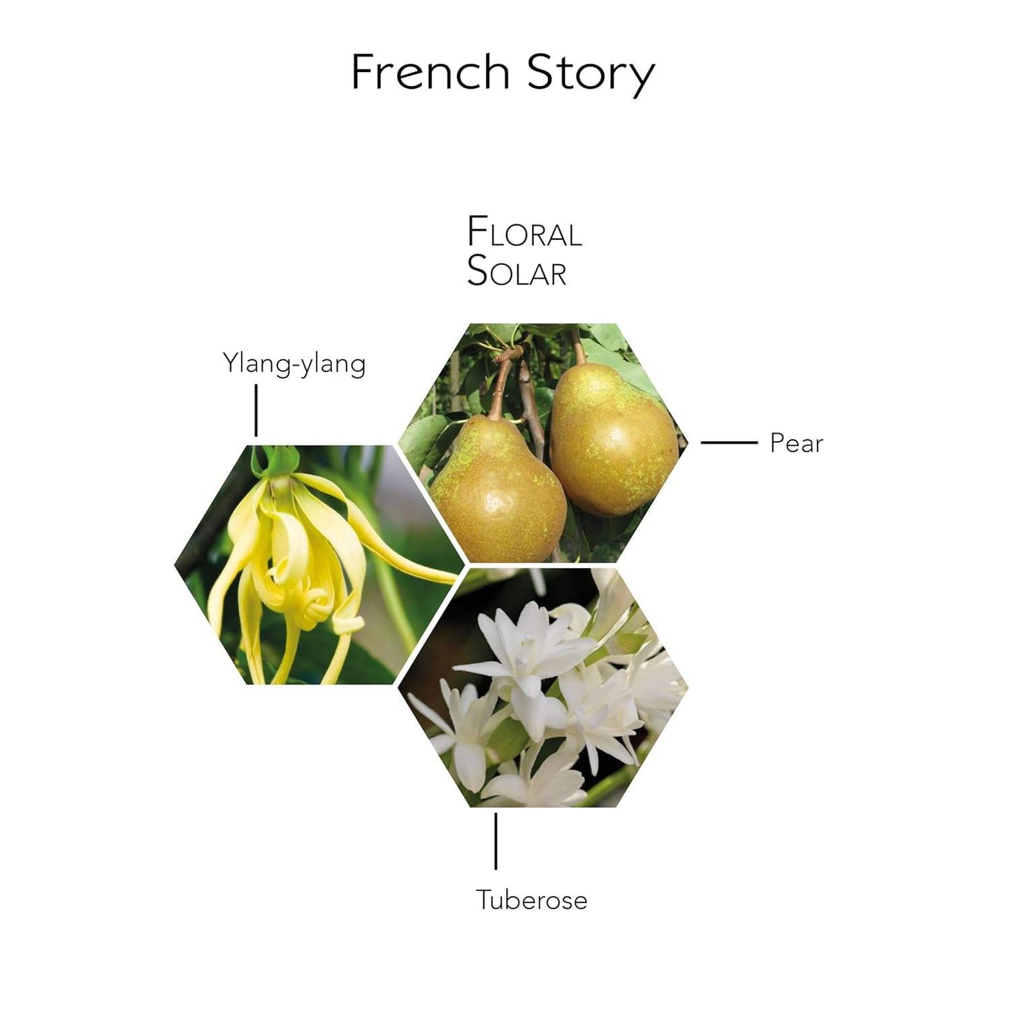 French Story by Georges Rech for Women - 3.3 oz EDP Spray