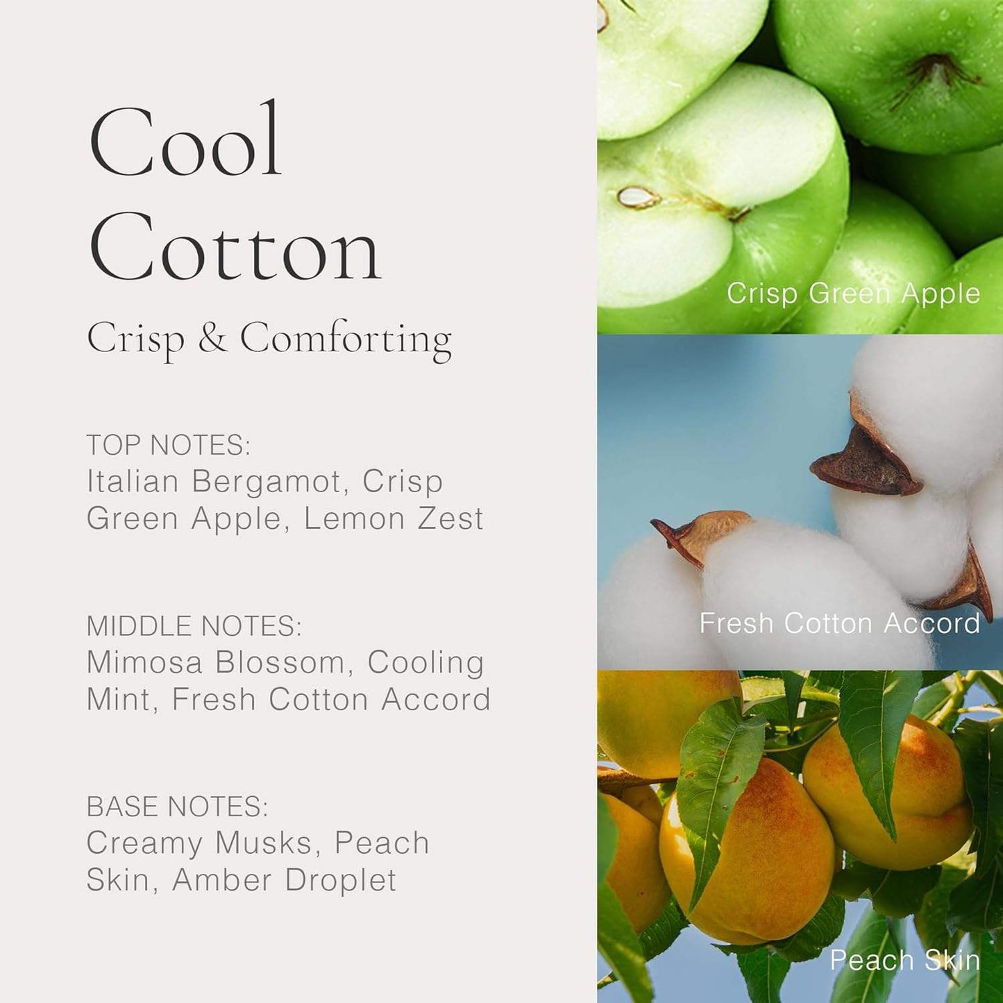 Classic Cool Cotton by Clean for Women - 2 oz EDP Spray