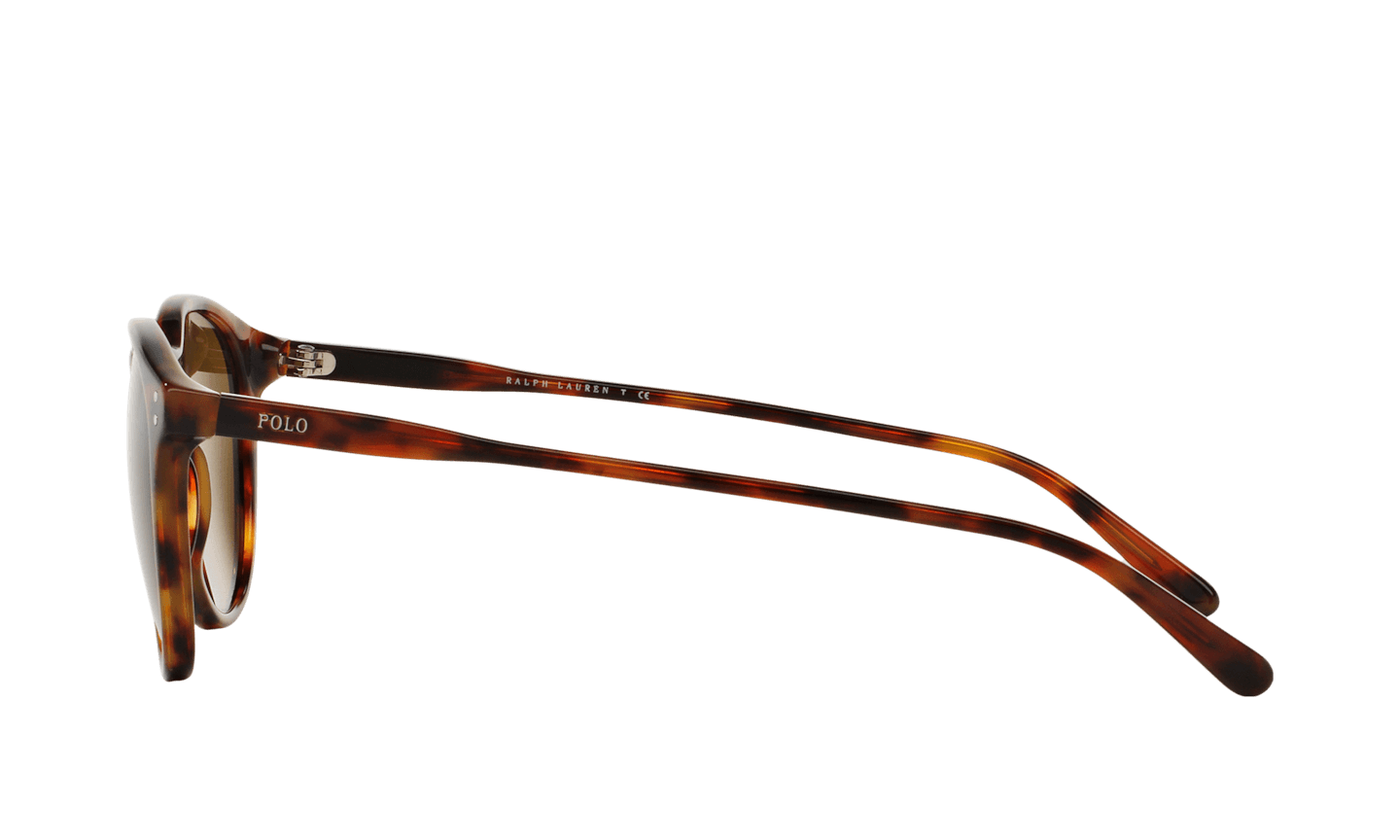 Polo Ralph Lauren PH 4110 5017-73 - Shiny Havana Jerry-Olive Green by Ralph Lauren for Men - 50-21-145 mm Sunglasses