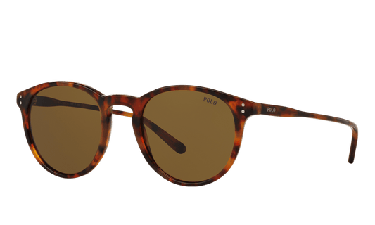 Polo Ralph Lauren PH 4110 5017-73 - Shiny Havana Jerry-Olive Green by Ralph Lauren for Men - 50-21-145 mm Sunglasses