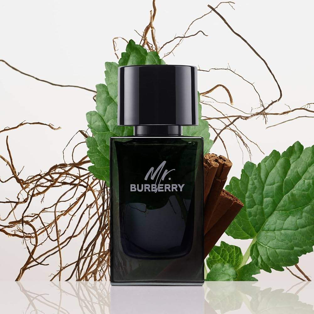 Mr. Burberry by Burberry for Men - 1.6 oz EDP Spray