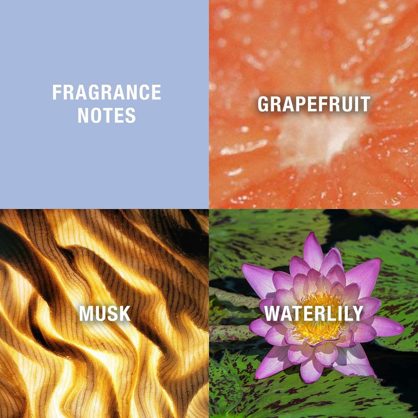 Curve by Liz Claiborne for Women - 3.4 oz EDT Spray