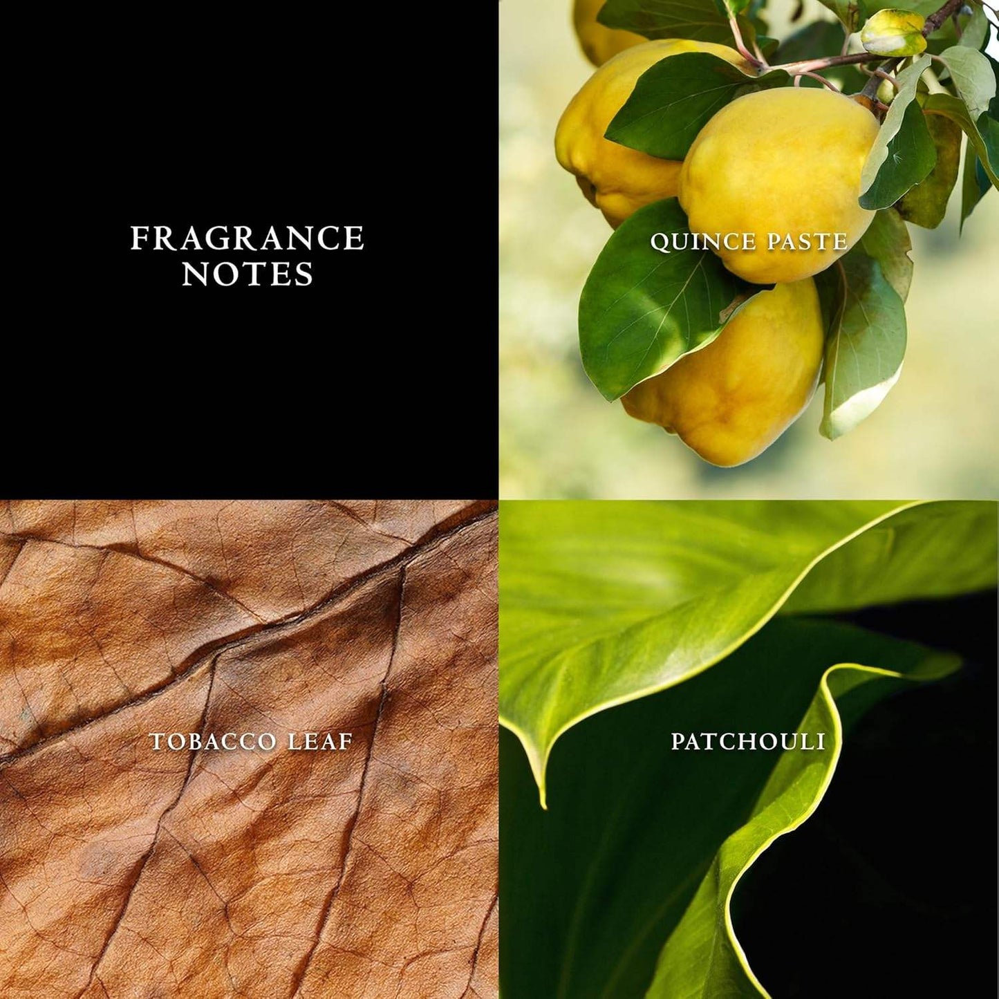 John Varvatos Vintage by John Varvatos for Men - 2.5 oz EDT Spray