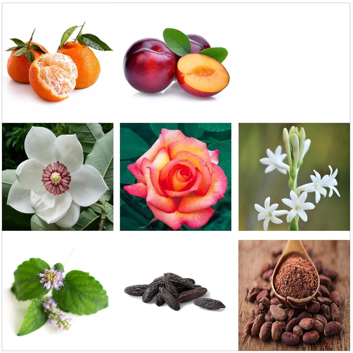 Warrior Scented Candle by Rachel Zoe for Women - 6.3 oz Candle