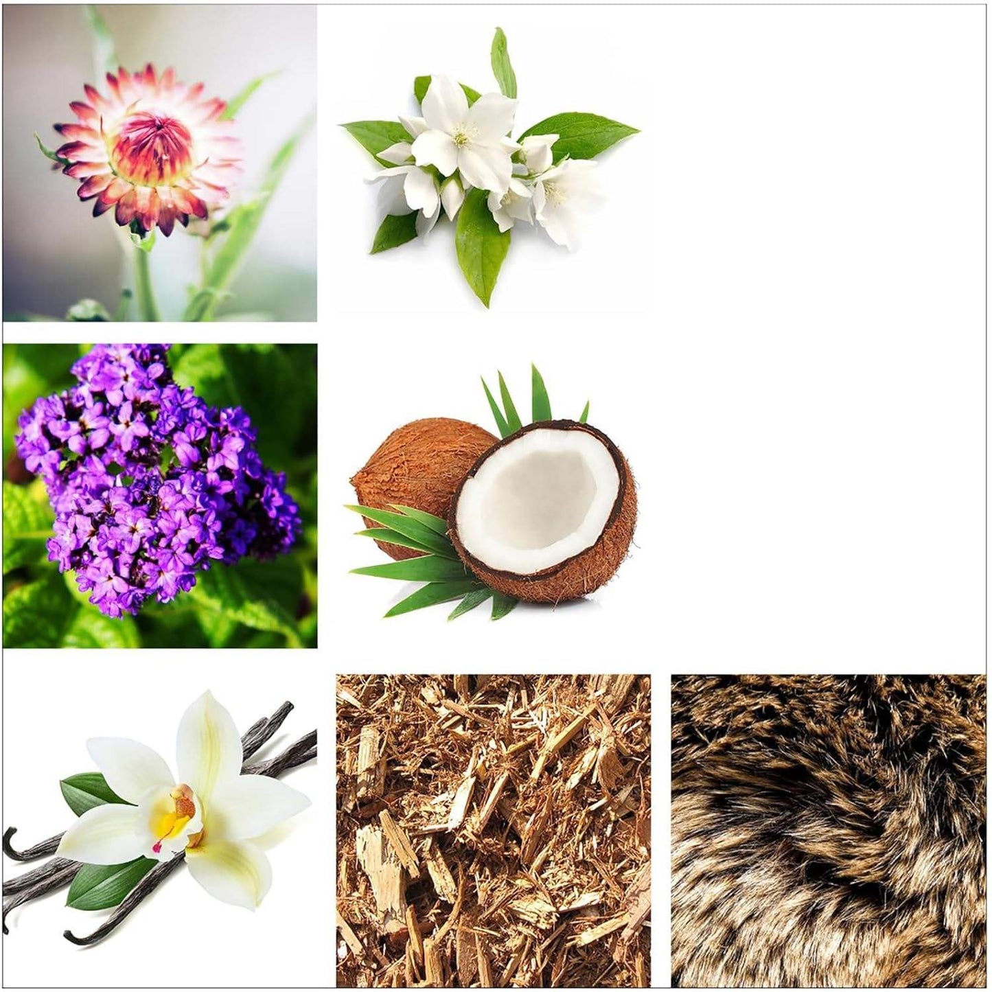 Empowered by Rachel Zoe for Women - 0.34 oz EDP Spray (Mini)