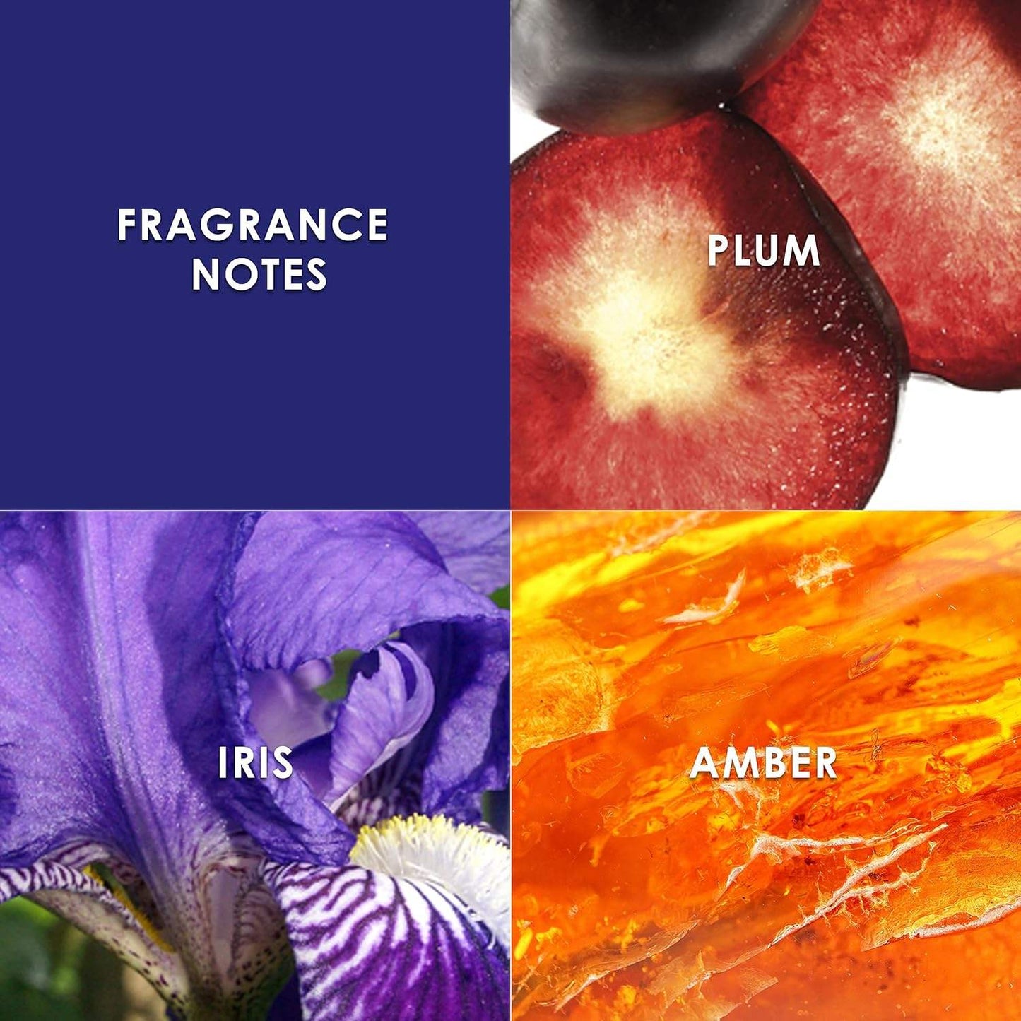 Midnight Fantasy by Britney Spears for Women - 8 oz Body Mist