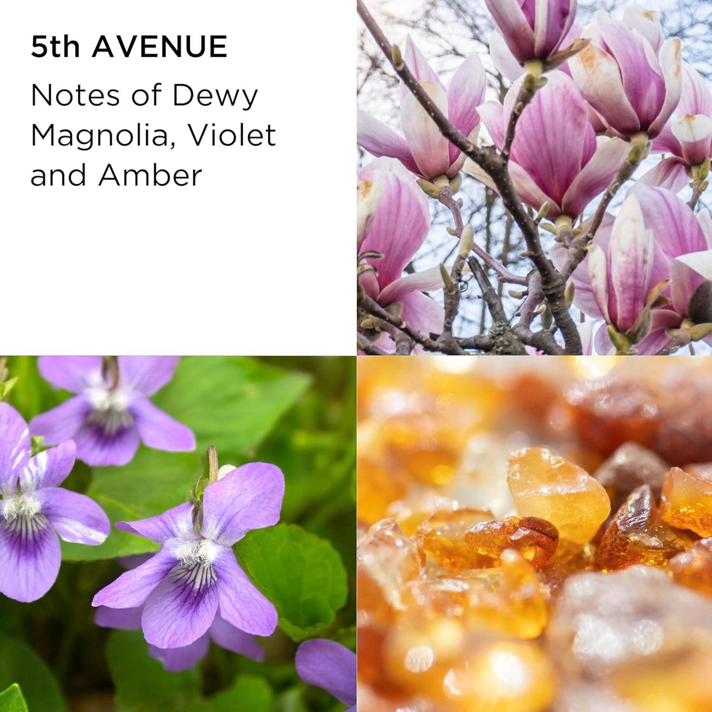 5th Avenue by Elizabeth Arden for Women - 2.5 oz EDP Spray (Unboxed)