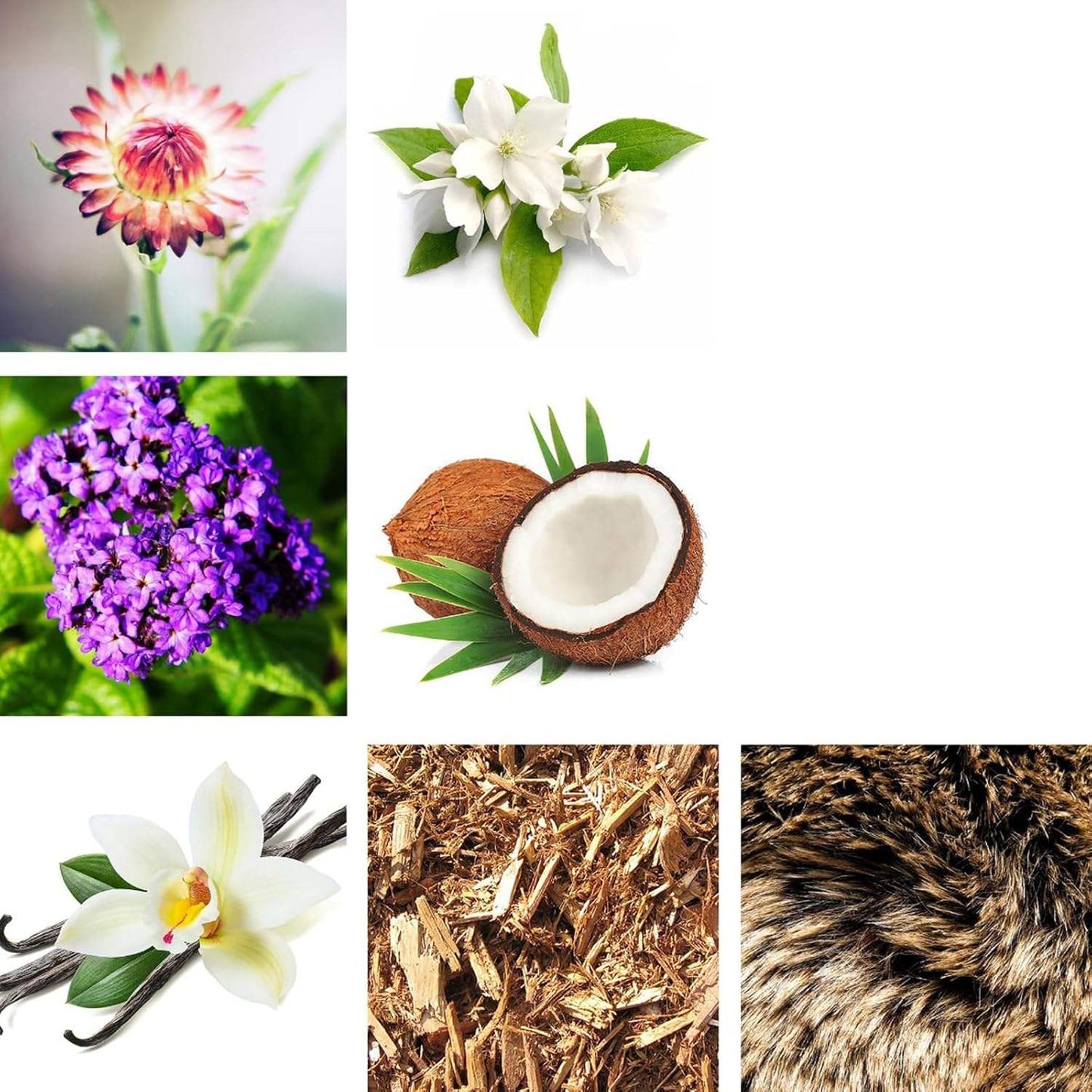 Empowered Value Set by Rachel Zoe for Women - 3 Pc Gift Set 3.4oz EDP Spray, 1oz EDP Spray, 0.34oz EDP Spray