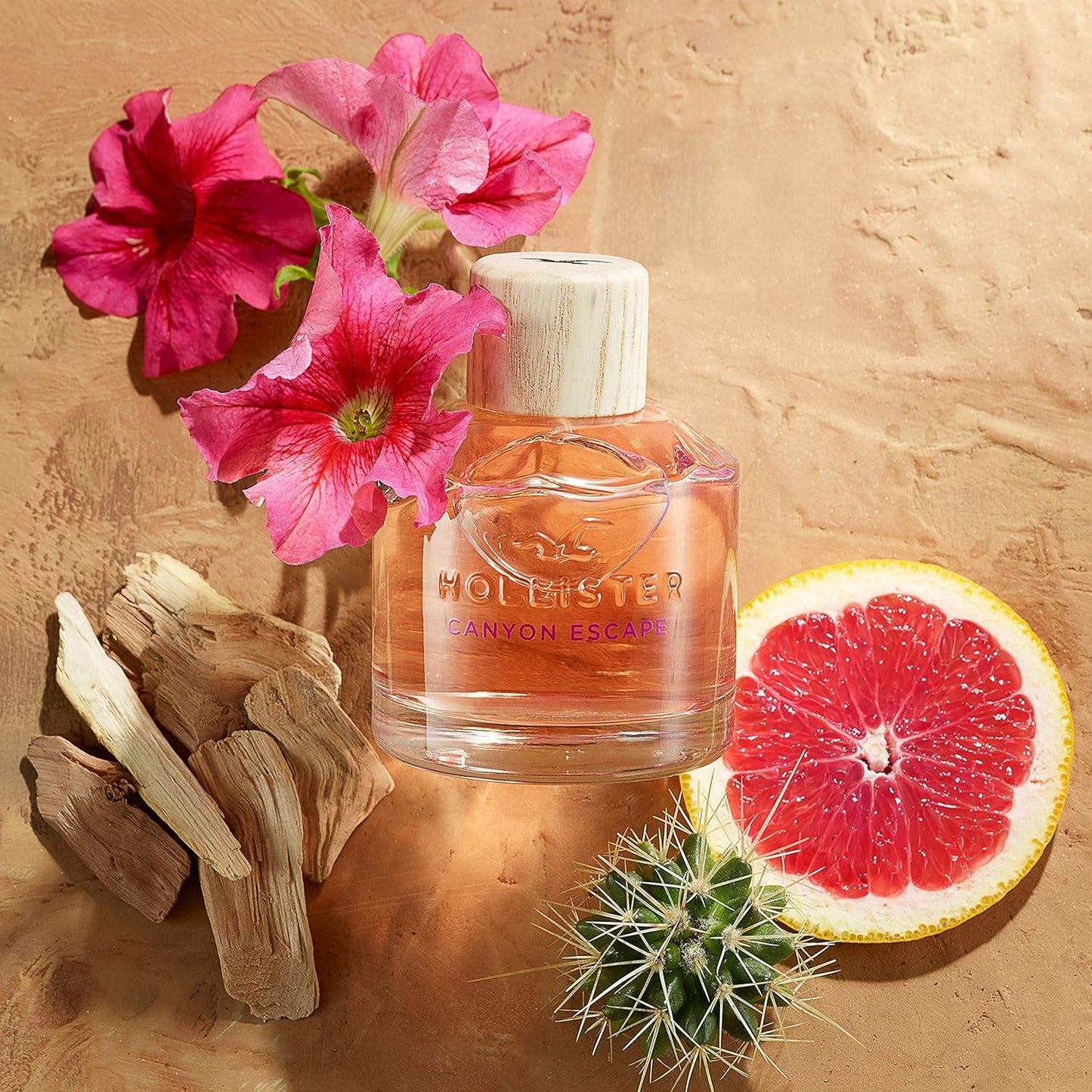 Canyon Escape by Hollister for Women - 3.4 oz EDP Spray