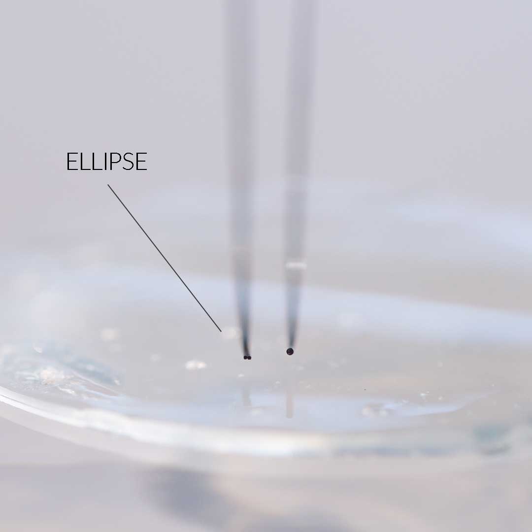 Luxury Ellipse Lash Extensions