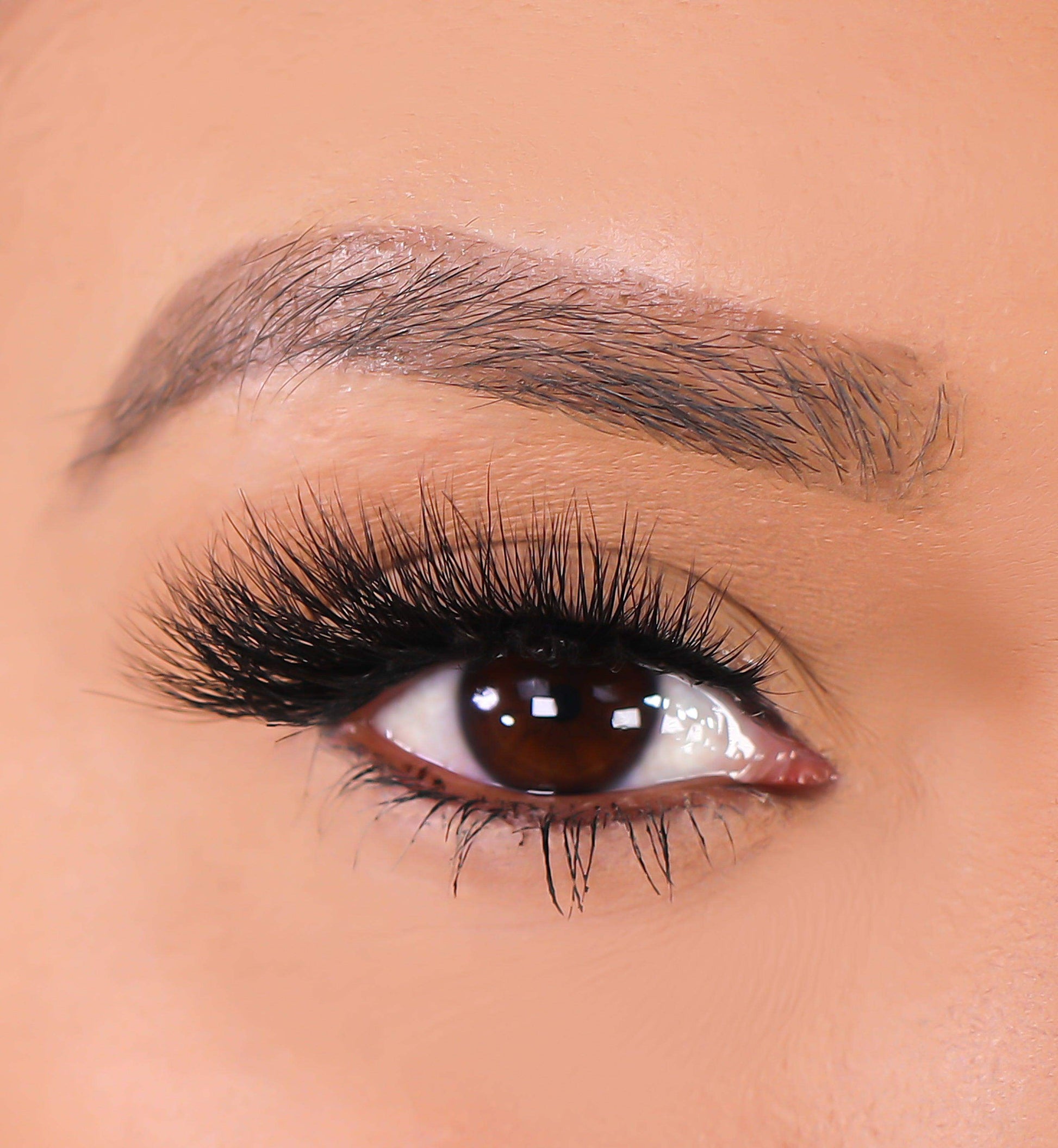 3D Mink Eyelashes - Lioness - BarberSets