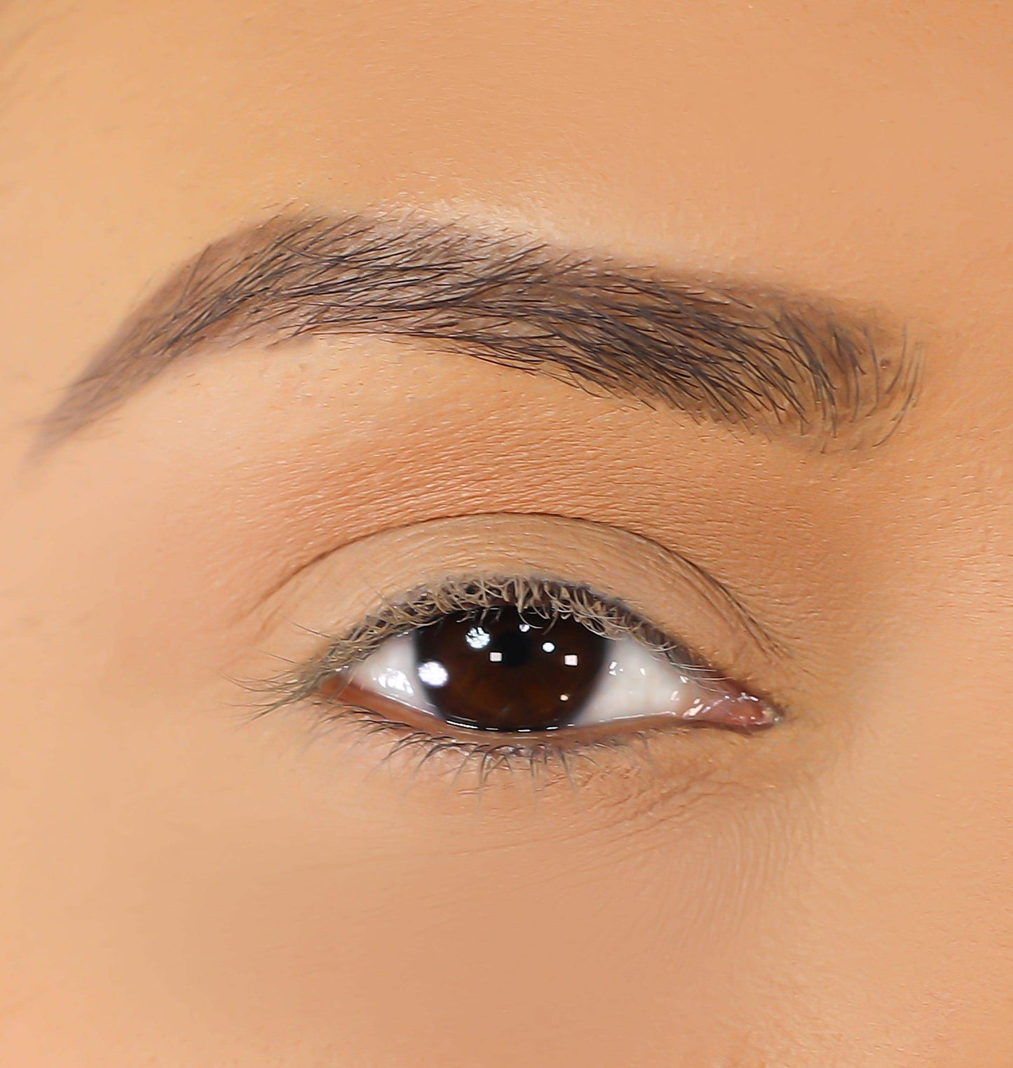 3D Mink Eyelashes - Caylie - BarberSets