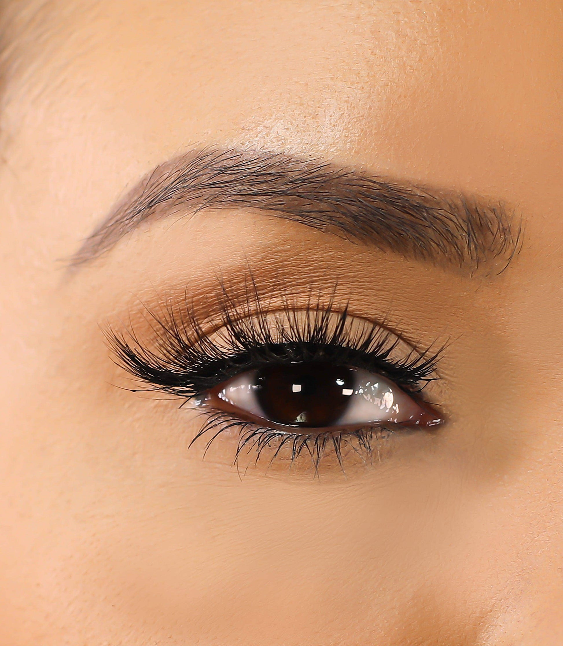 3D Mink Eyelashes - Alexis - BarberSets