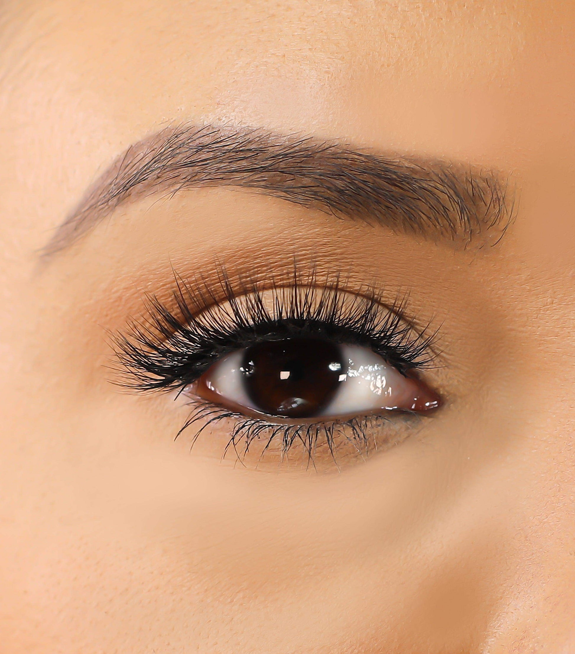 3D Mink Eyelashes - Caylie - BarberSets