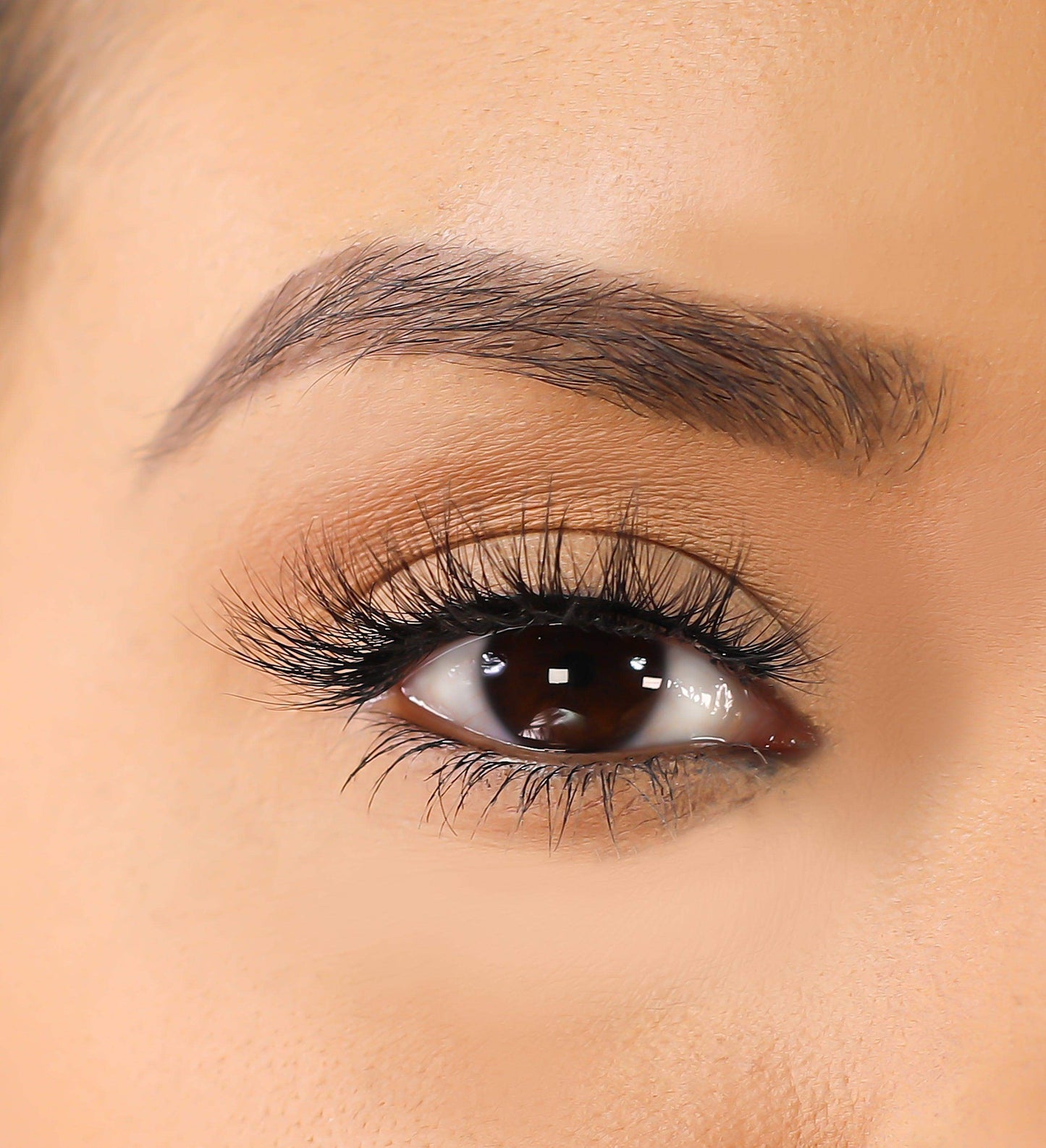 3D Mink Eyelashes - Ems - BarberSets