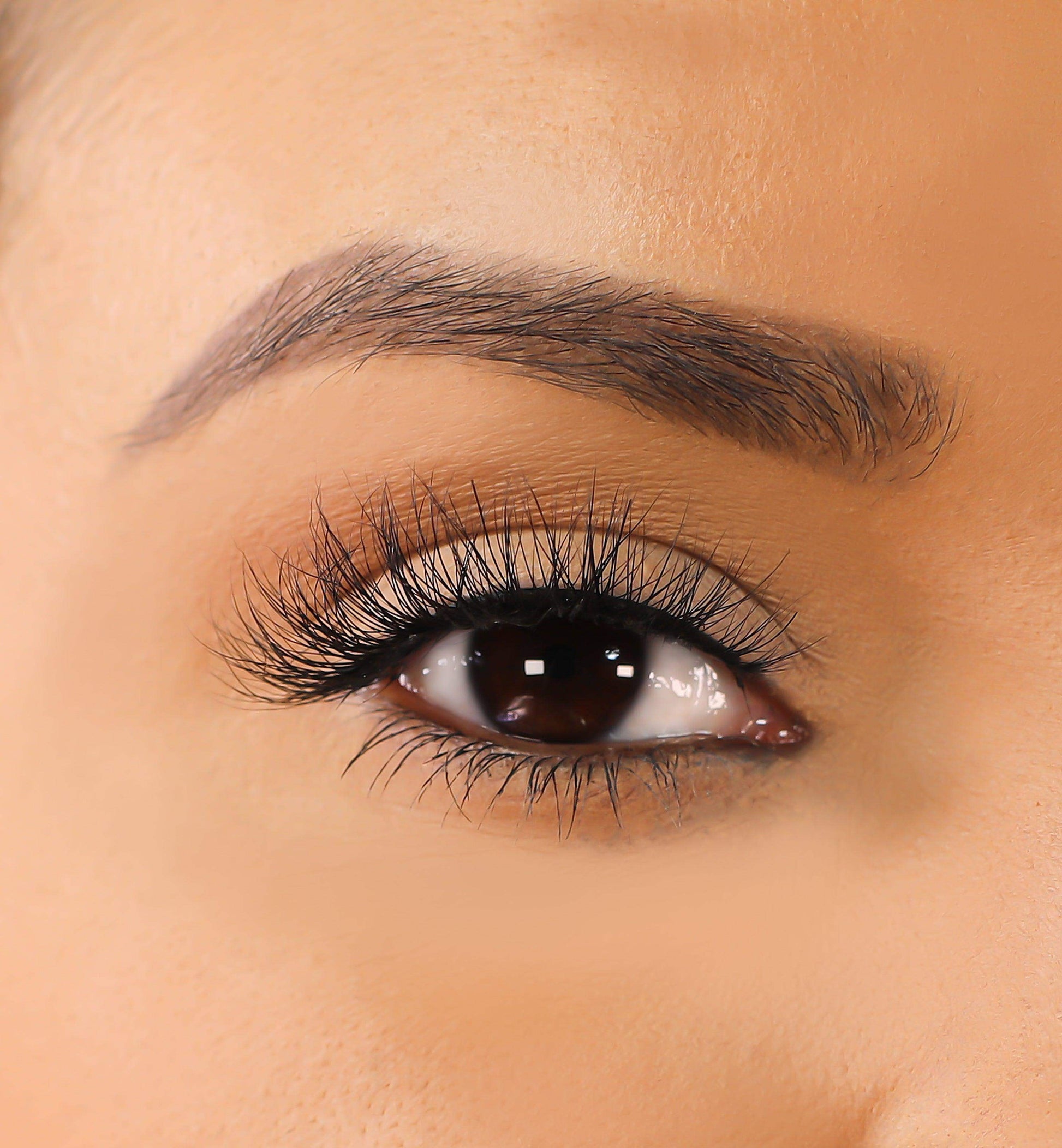 3D Mink Eyelashes - Swish - BarberSets