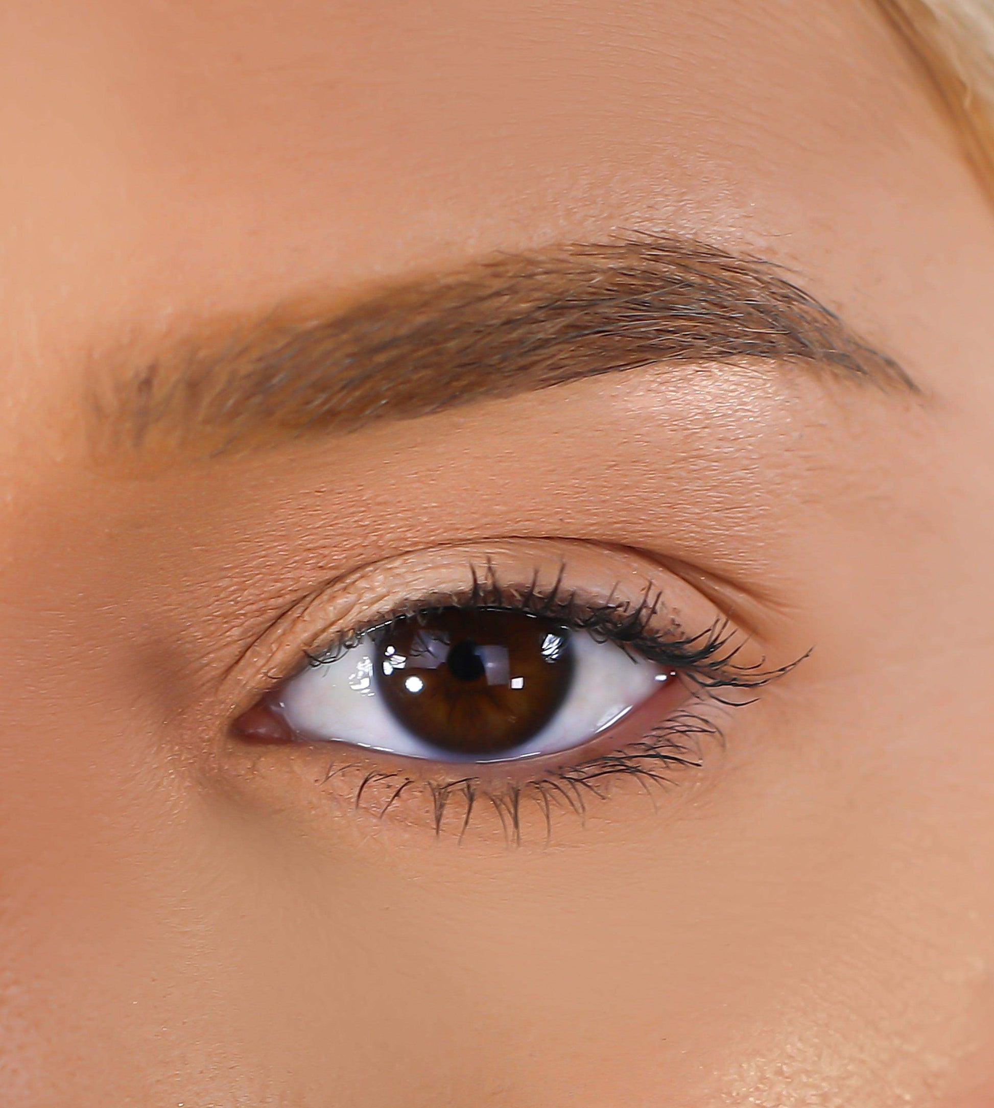 3D Mink Eyelashes - Cardi - BarberSets