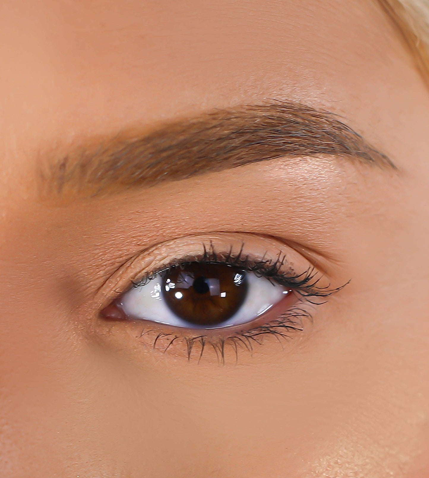 3D Mink Eyelashes - Desire - BarberSets