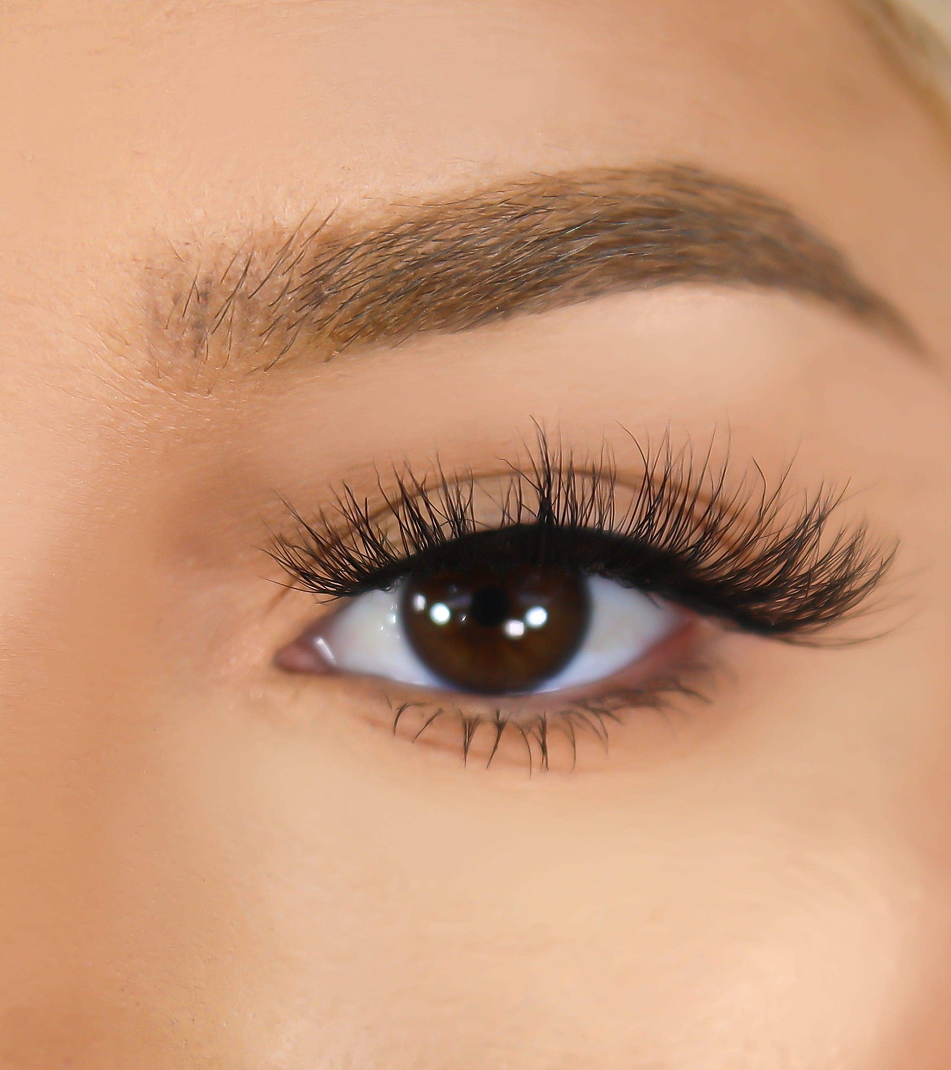 3D Mink Eyelashes - Desire - BarberSets