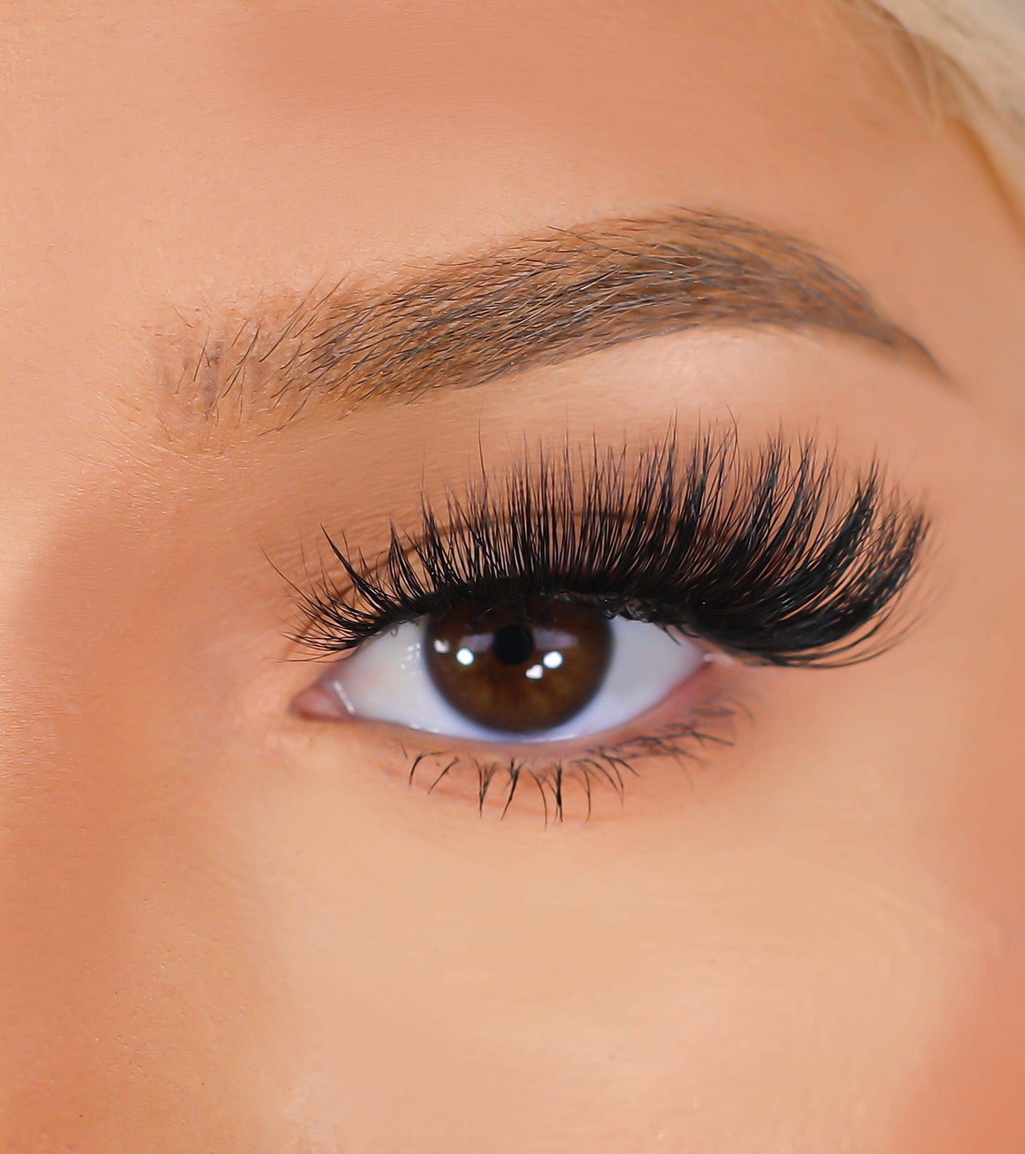 3D Mink Eyelashes - Confident - BarberSets