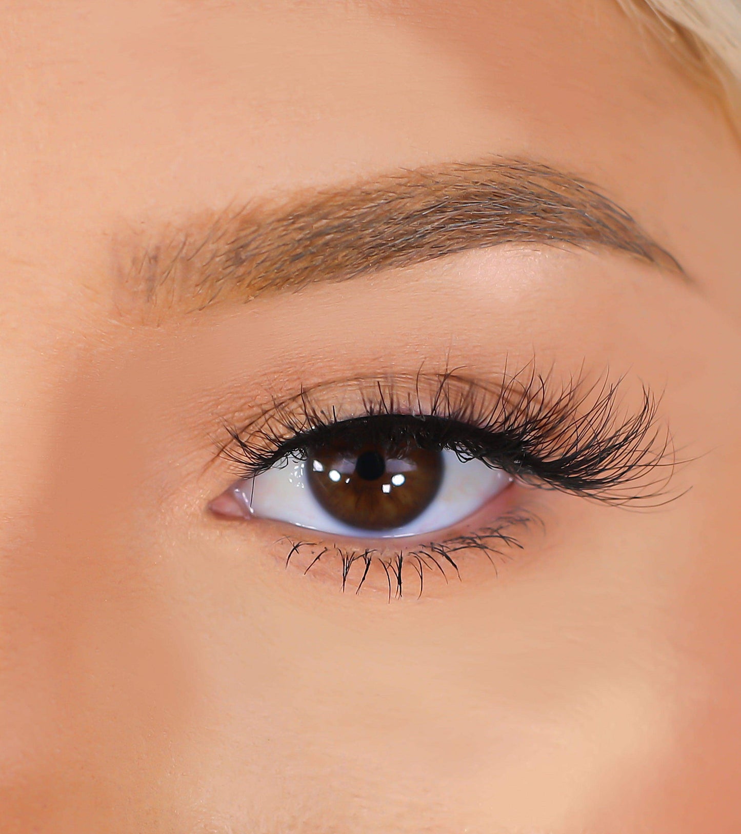 3D Mink Eyelashes - Cardi - BarberSets