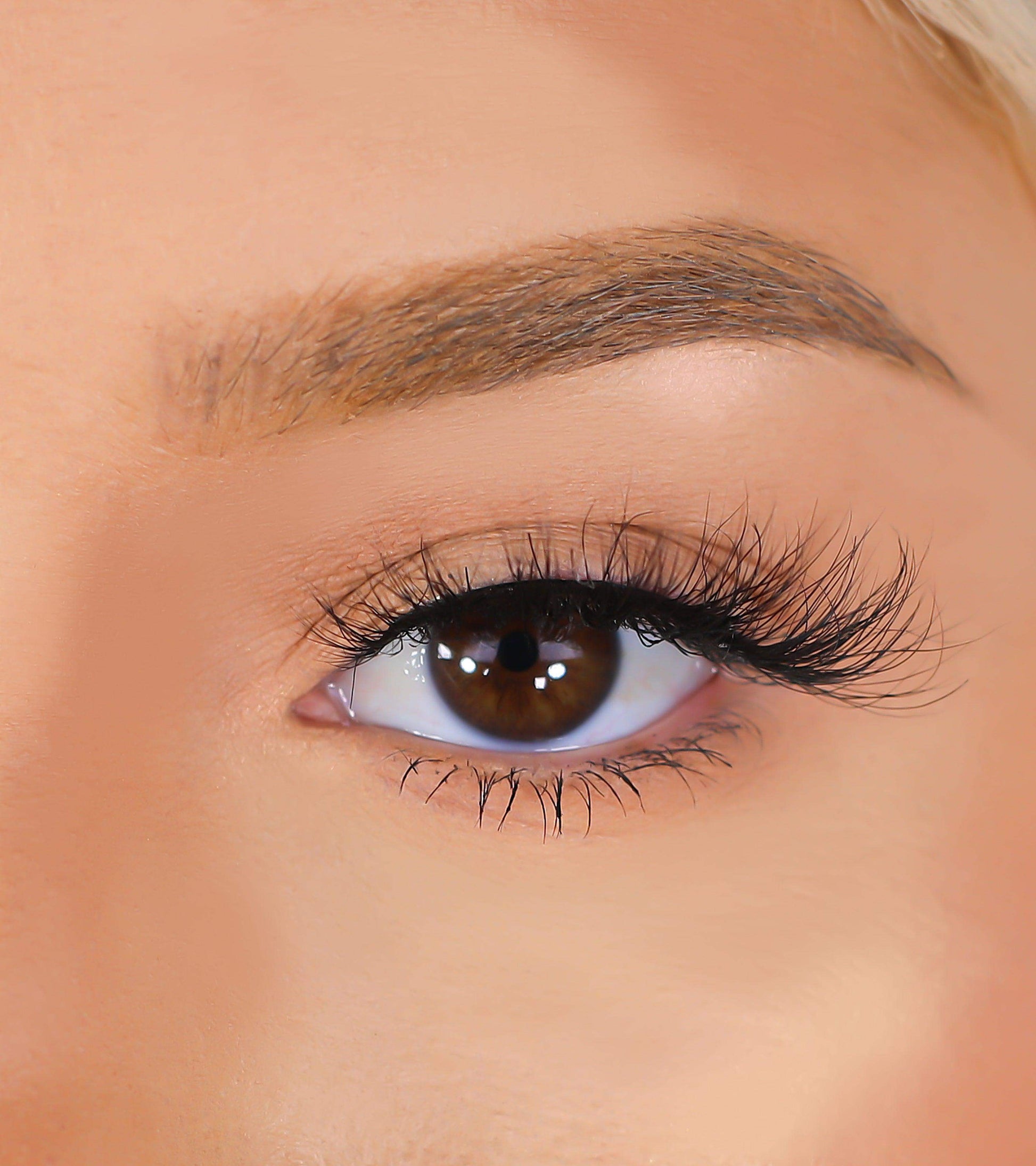 3D Mink Eyelashes - Cardi - BarberSets