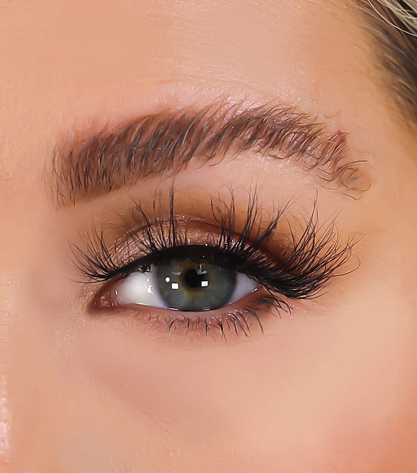 3D Mink Eyelashes - Eva - BarberSets