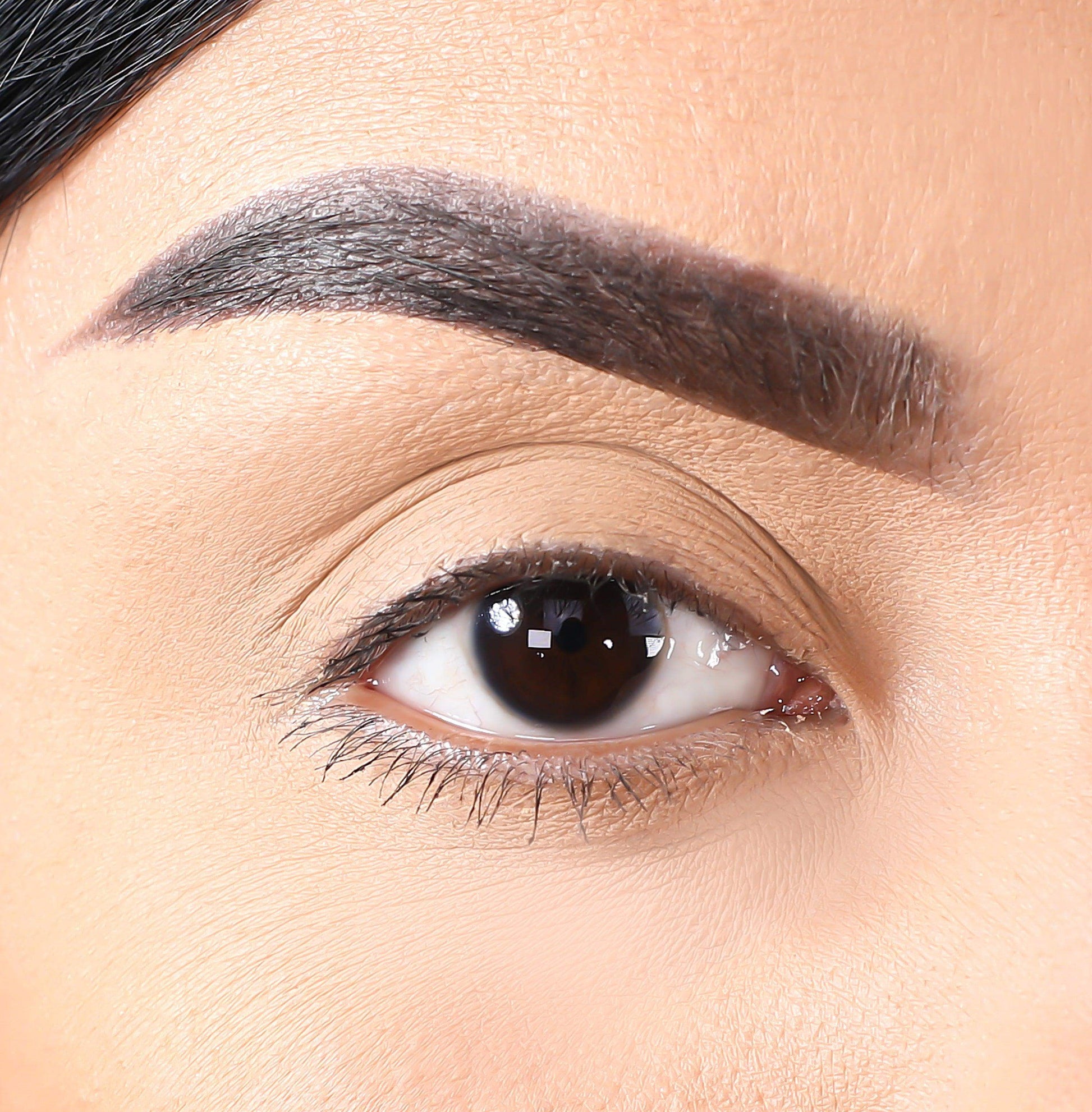 3D Mink Eyelashes - Wolves - BarberSets