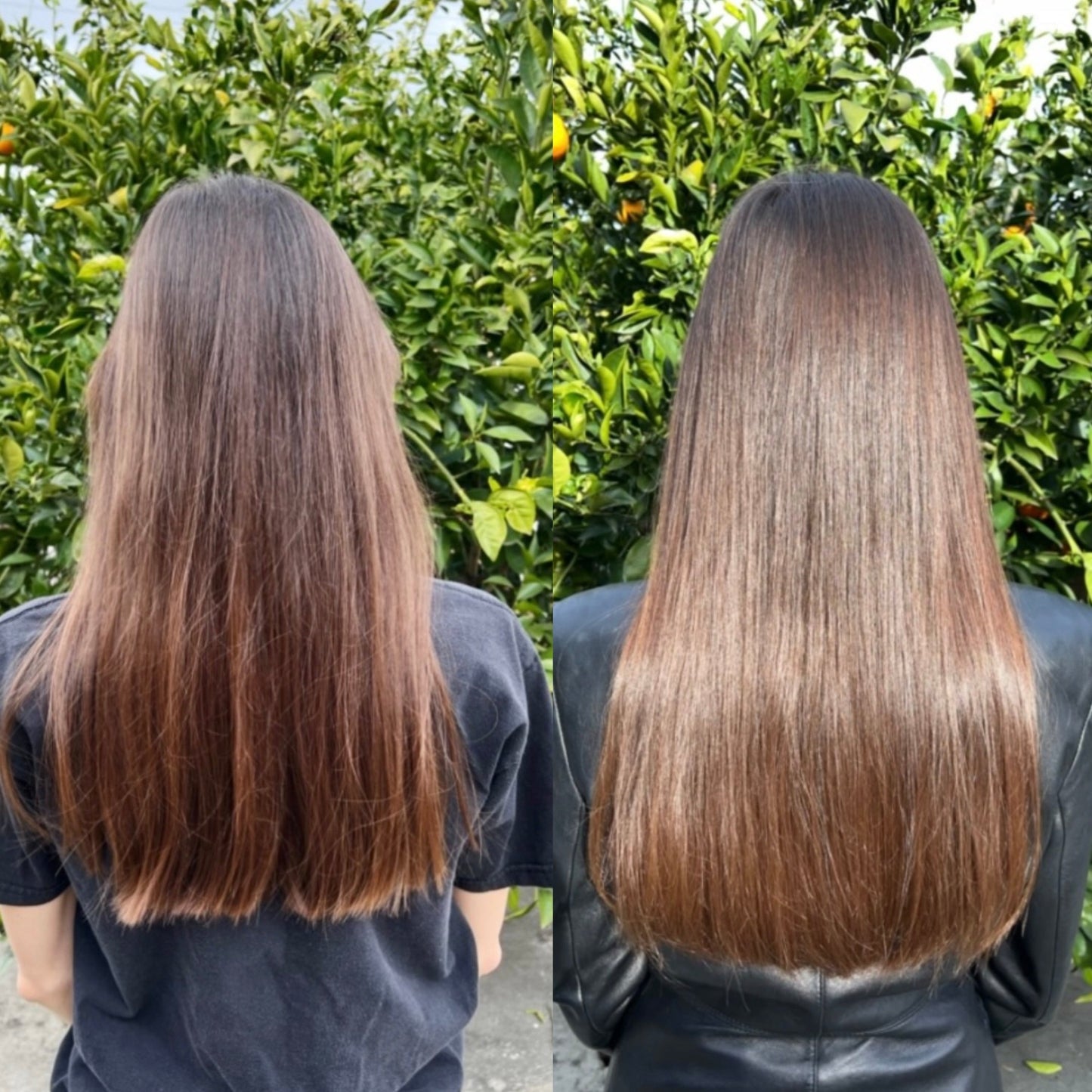 GROWING SEASON - BURDOCK HAIR GROWTH AND REPAIR OIL