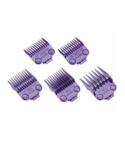 Andis Master Dual Magnet Small 5-Comb Set