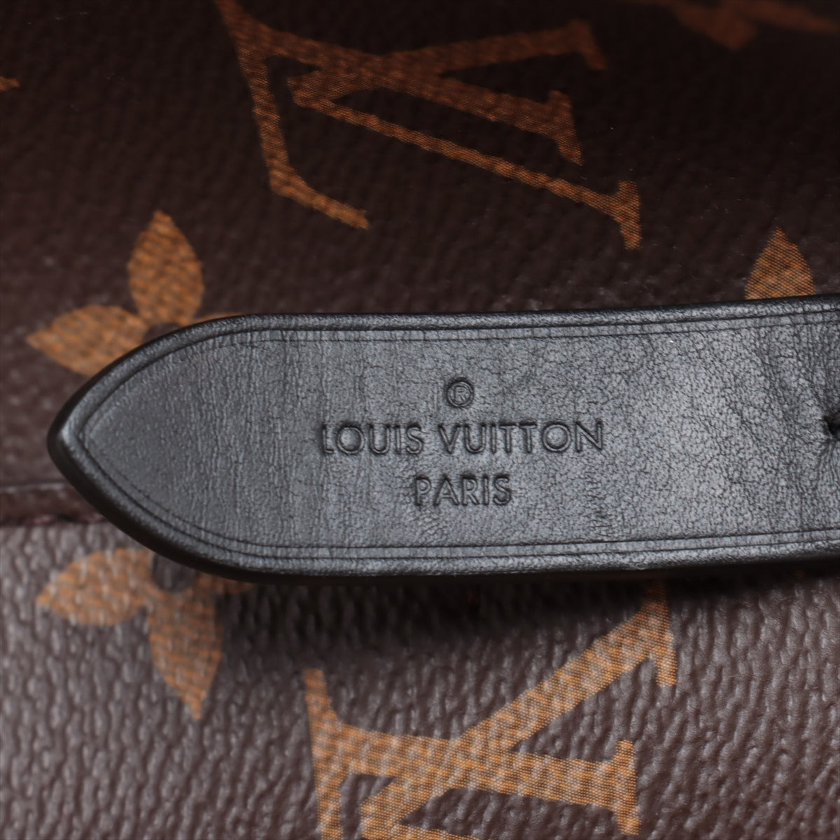Louis Vuitton Monogram Macassar Neonoe Bucket Bag