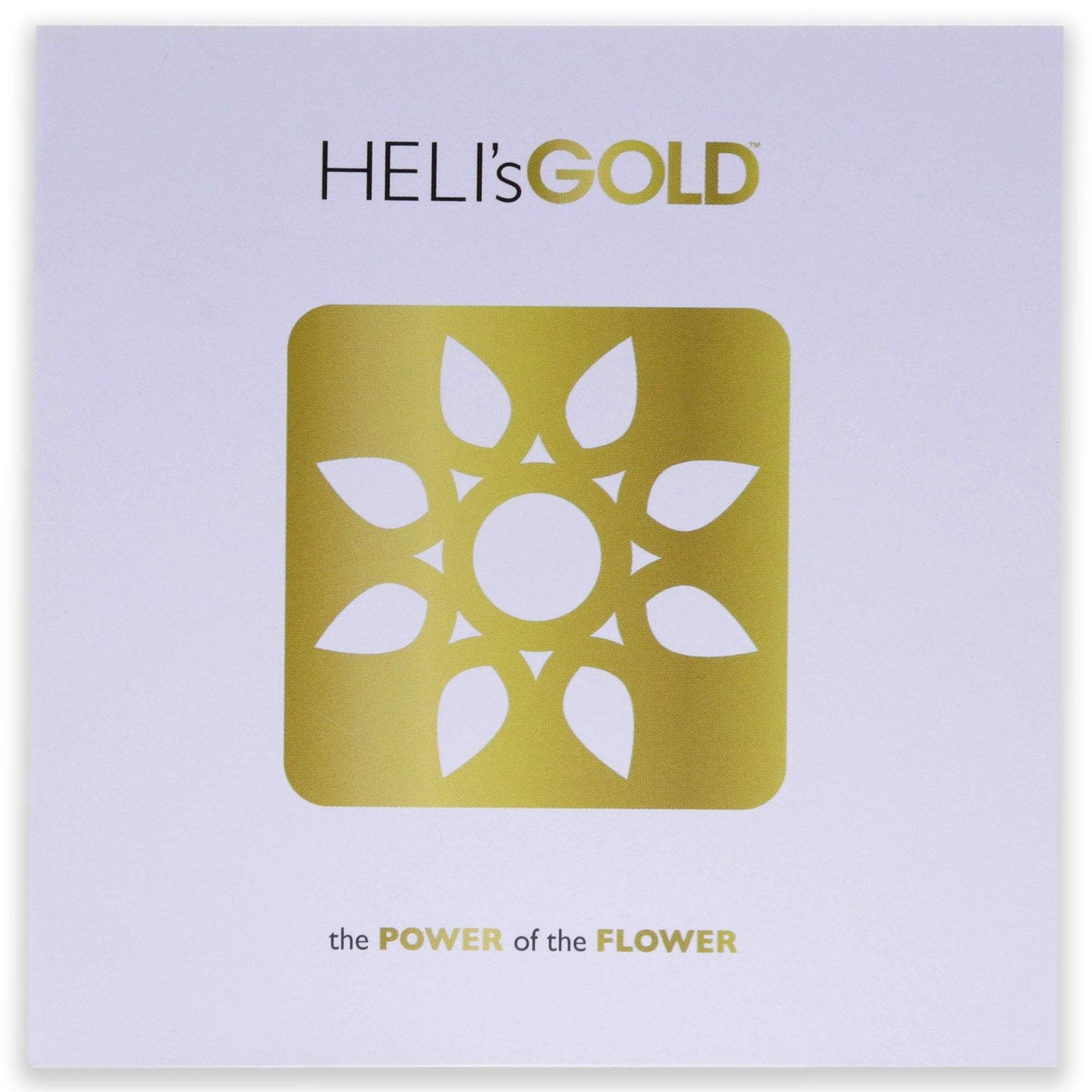 The Power Of The Flower Brochure - Small by Helis Gold for Unisex - 1 Pc Brochure