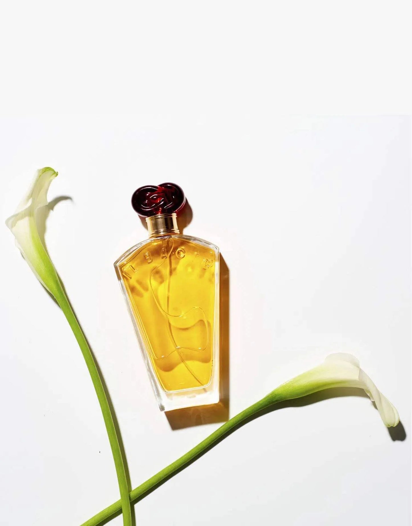 IL Bacio by Borghese for Women - 3.4 oz EDP Spray